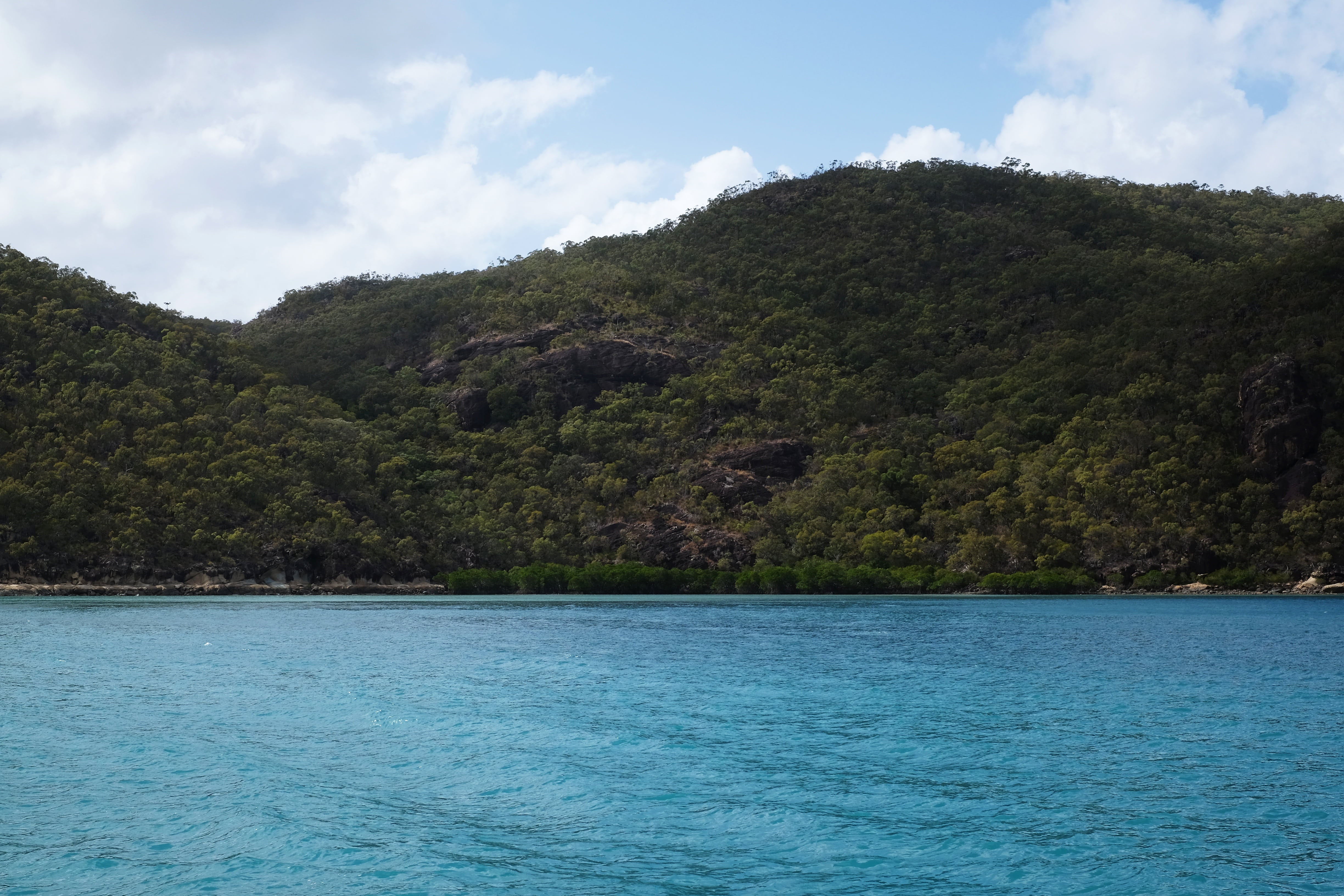 4K, australia, growth, plant, waterfront, beach, scenics - nature, idyllic, outdoors, whitsundays, nature, no people, blue, day, tranquil scene, scenic, HD Wallpaper