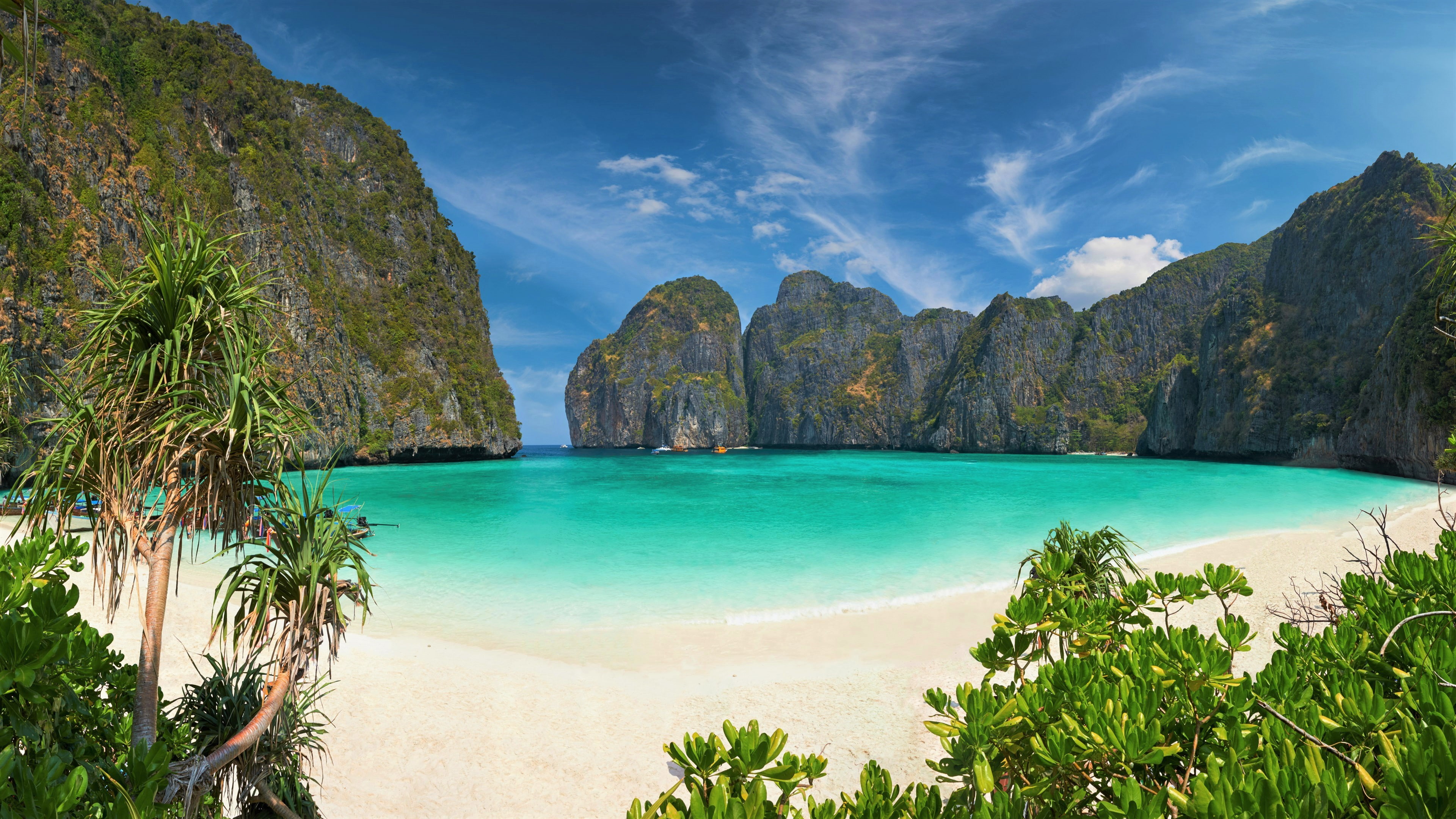 Beach, Thailand, Phi Phi Island, Tree, Earth, Sea, Island, Turquoise, 4K, Rock, Ocean, HD Wallpaper