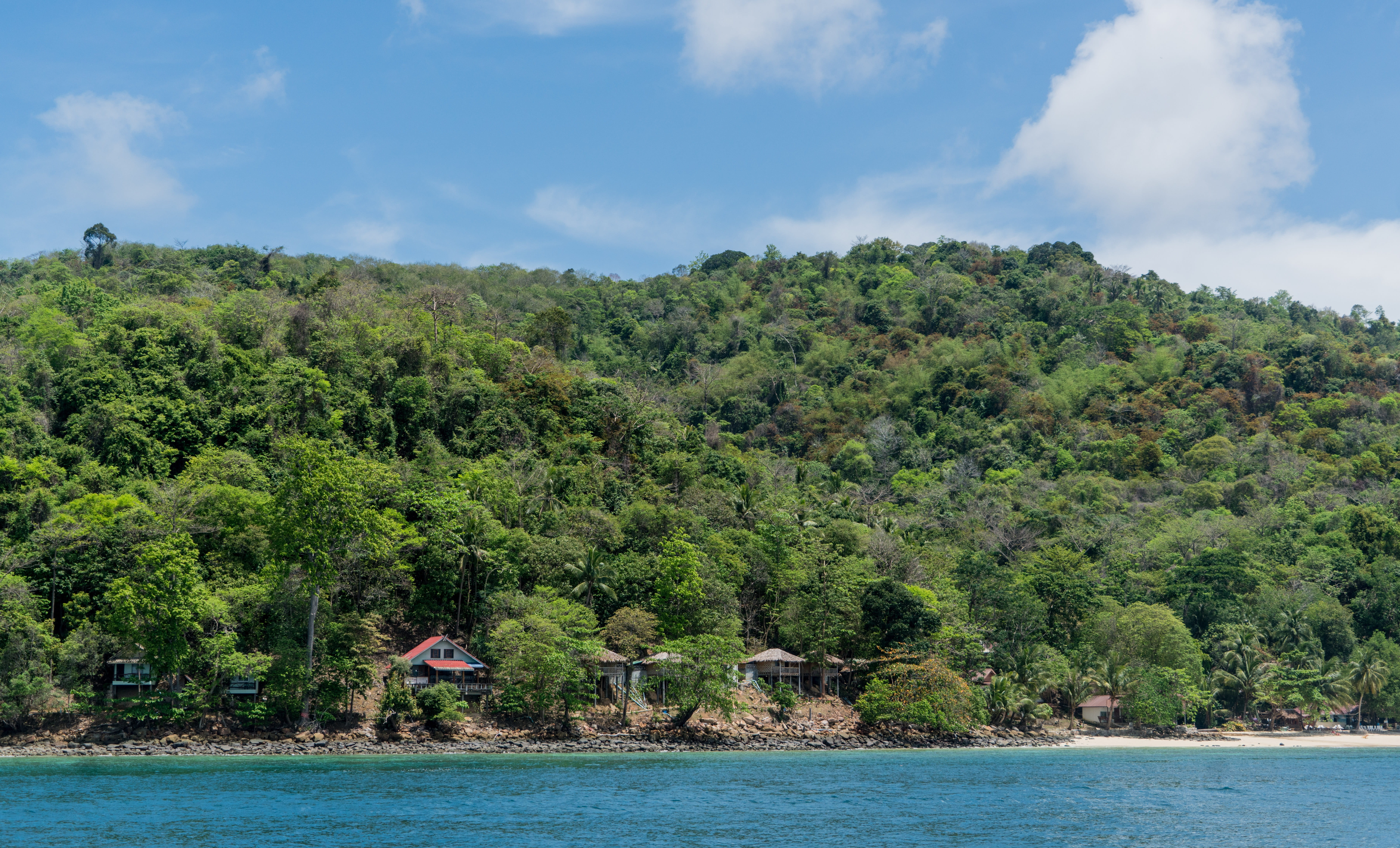 koh phi phi, nature, day, asia, phuket, plant, sea, growth, tropical climate, destination, holiday, paradise, 5K, scenics - nature, outdoor, tranquil scene, HD Wallpaper