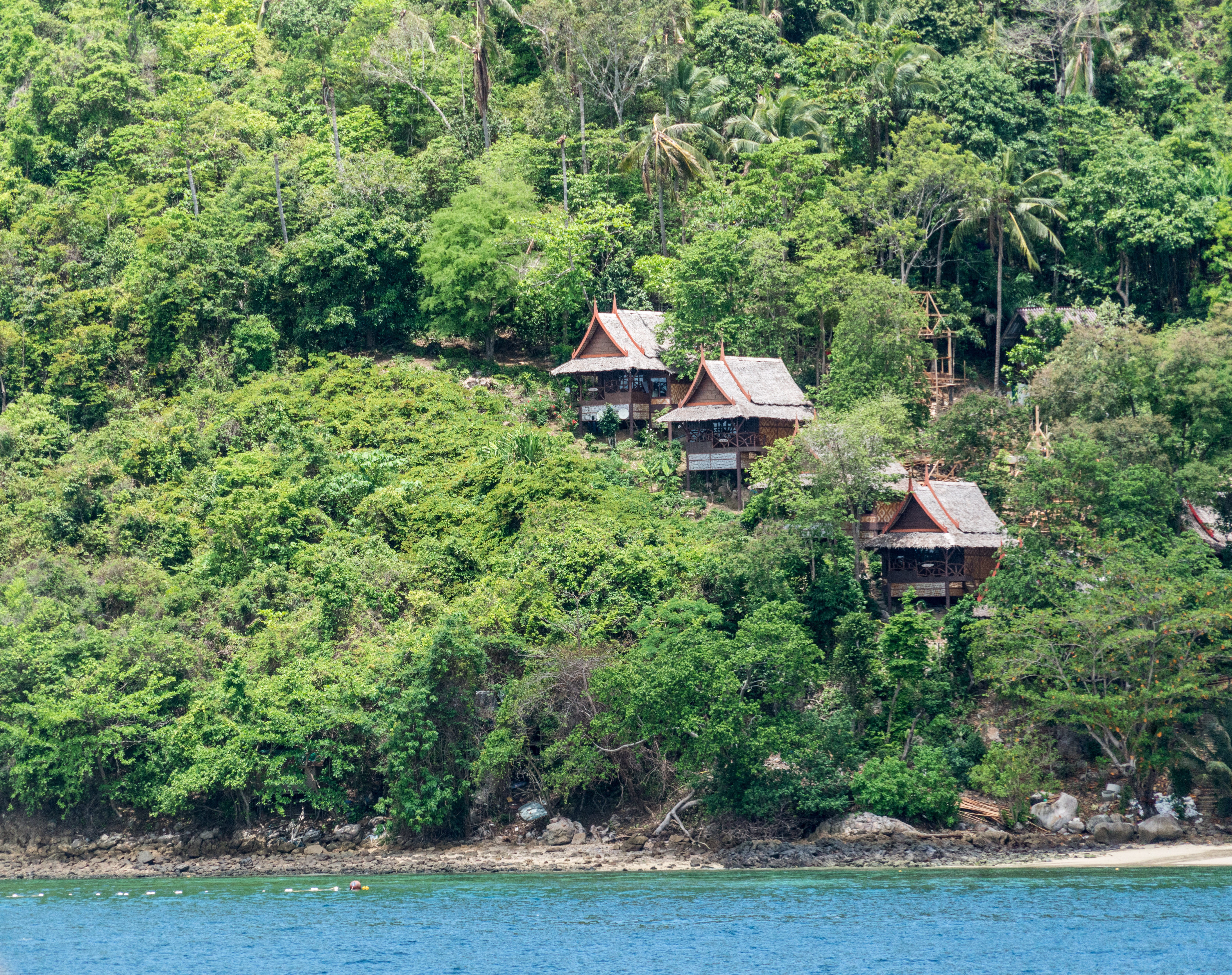 outdoor, forest, beauty in nature, tree, water, destination, scenics, foliage, plant, 5K, landscape, built structure, Koh Phi Phi, tropical Climate, lush foliage, HD Wallpaper