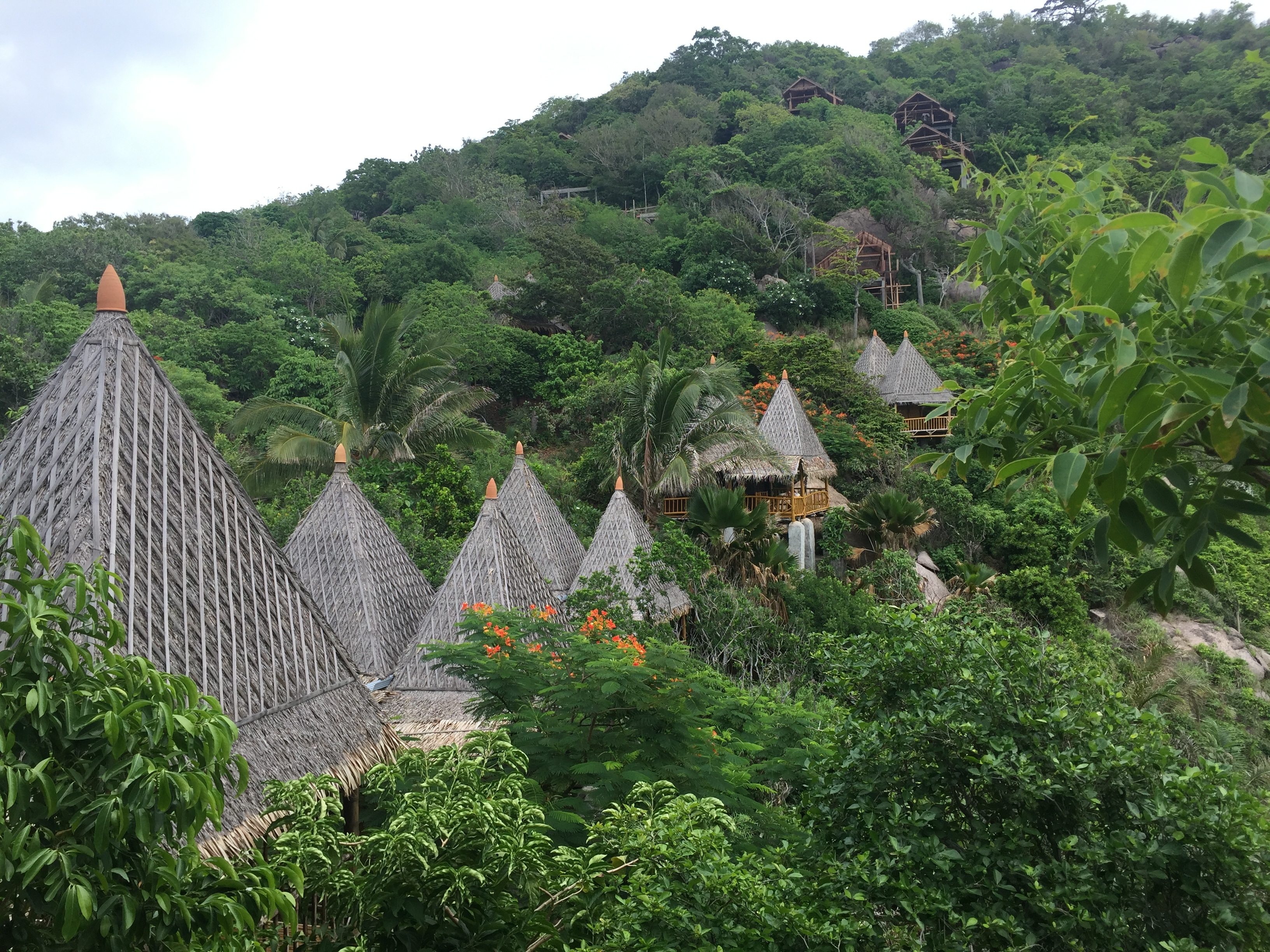 rooftop, foliage, sky, idyllic, palm, forest, tourism, house, scenics - nature, land, tranquility, thailand, beauty in nature, outdoors, outdoor, jungle, HD Wallpaper