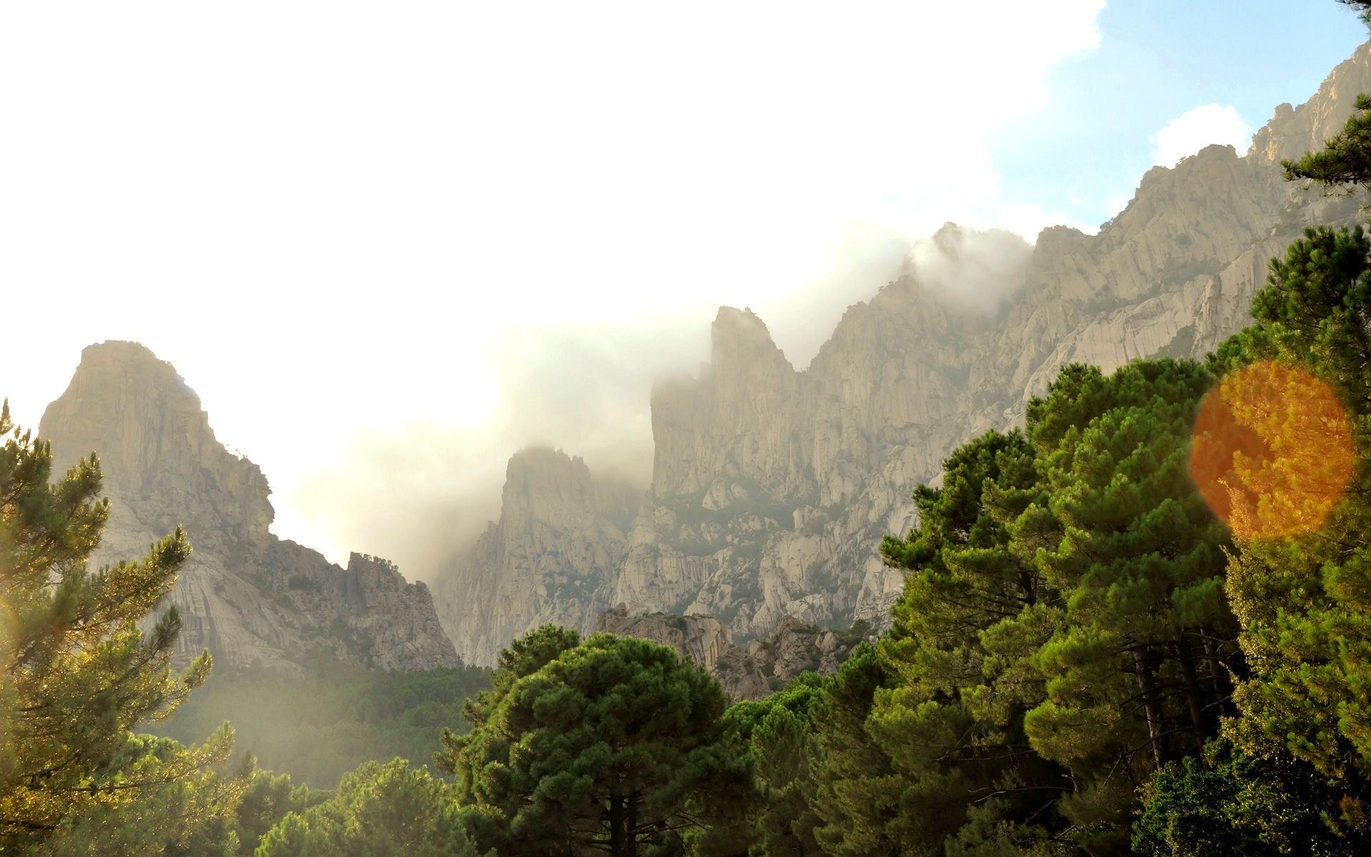 tree, Corsica, nature, mountain, idyllic, beauty in nature, 1080P, no people, scenics - nature, tranquility, trees, green, fog, outdoors, mountain range, HD Wallpaper