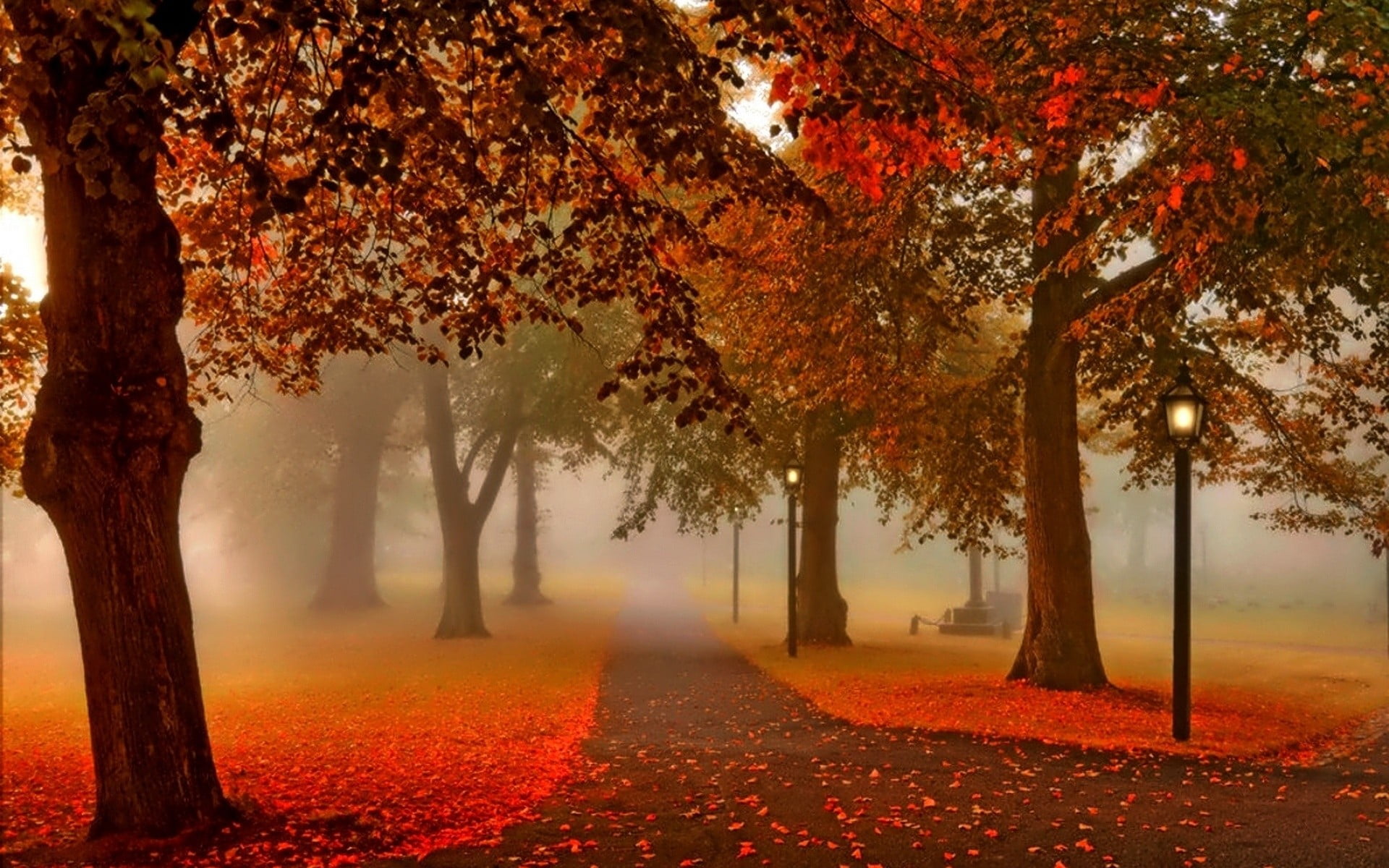 tranquil Scene, park - Man Made Space, tranquility, footpath, sunset, scenics, sunlight, yellow, gold Colored, trunk, sun, tree, park, lantern, plant, maple Tree, HD Wallpaper