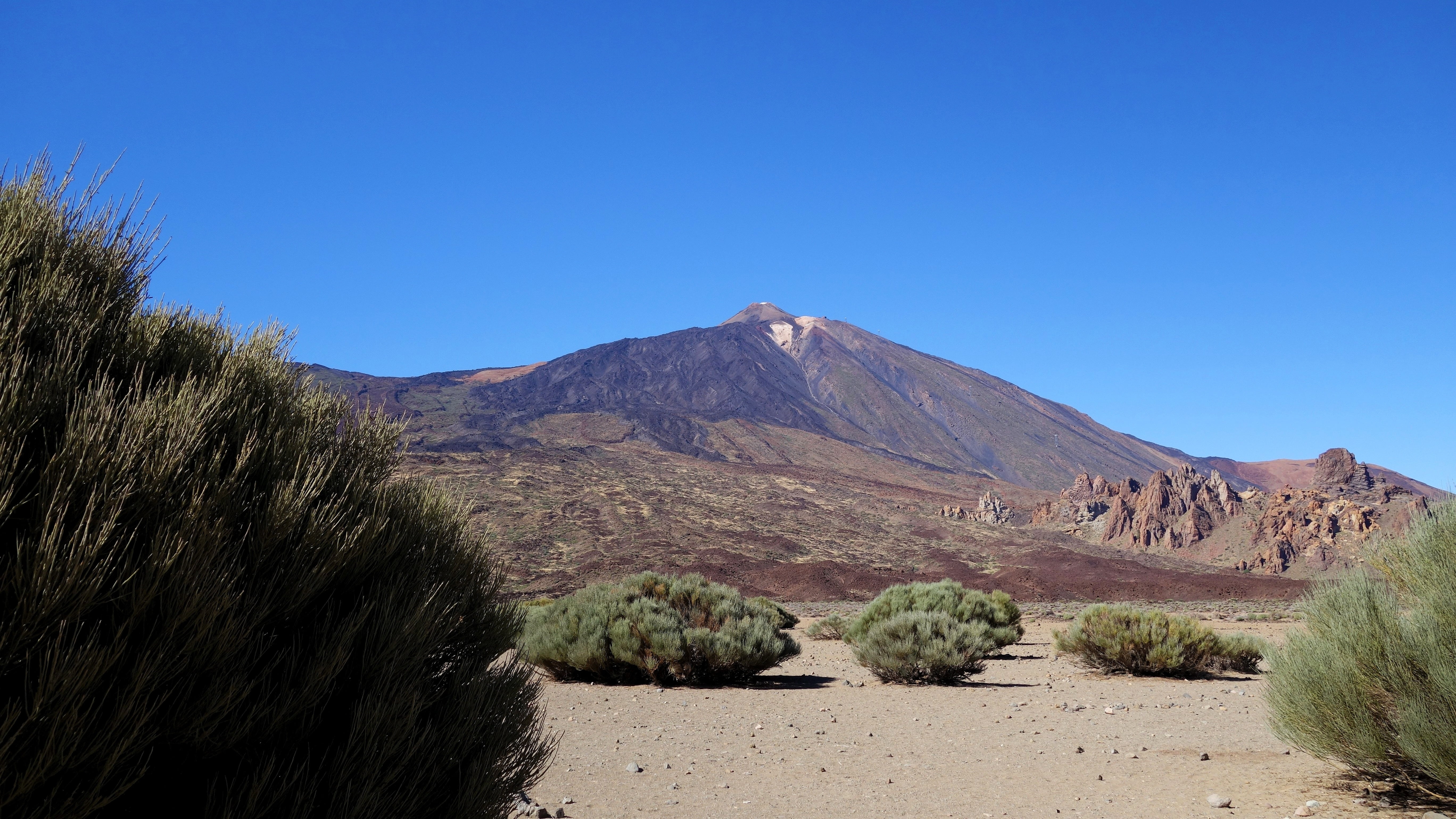 environment, semi-arid, geology, pico del teide, desert, tree, 5K, tenerife, non-urban scene, nature, climate, volcano, scenics - nature, arid climate, HD Wallpaper