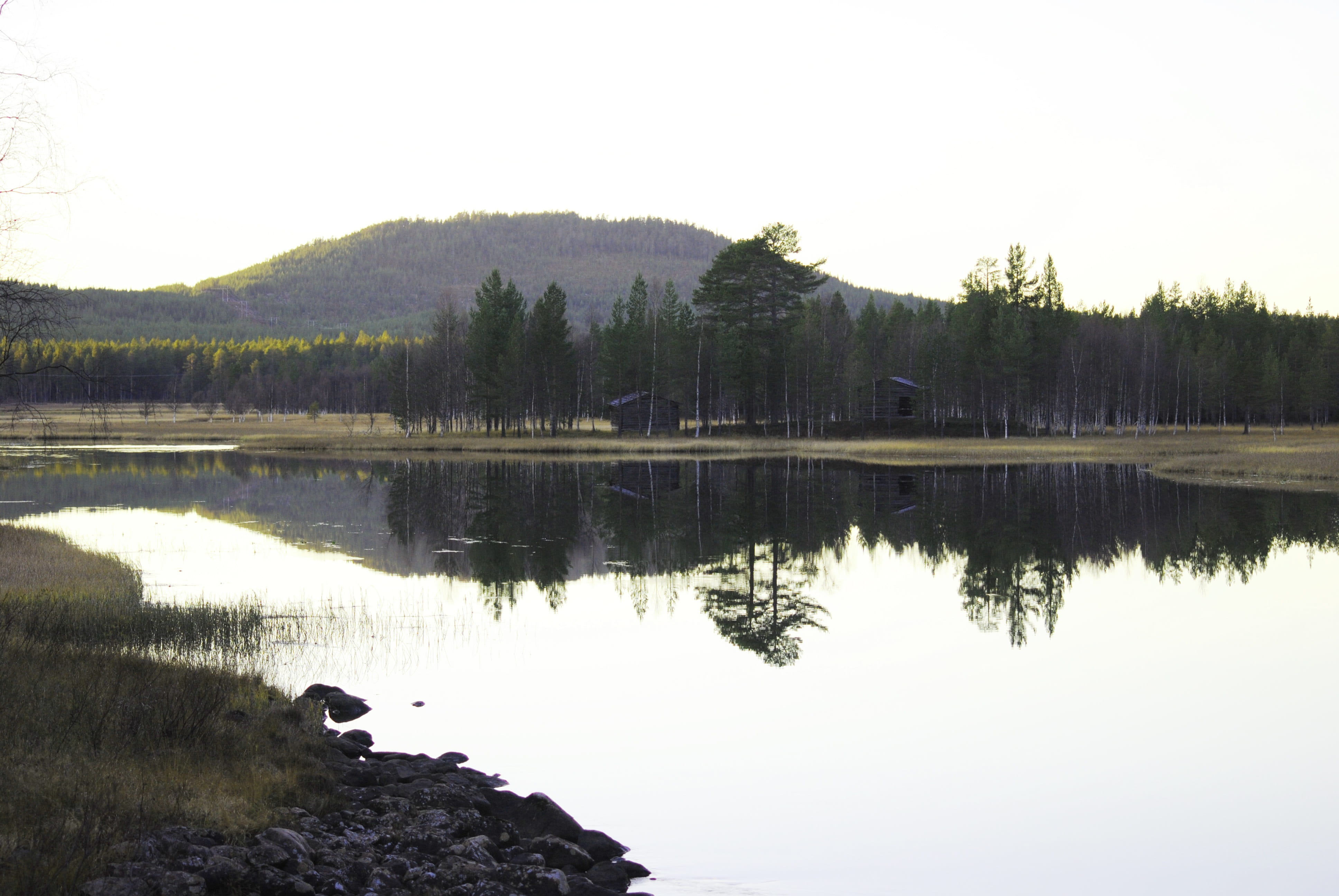animal, reflection, plant, beauty in nature, smooth as glass, non-urban scene, summer, bird, midnight sun, no people, Lake, sky, nature, water, Fishing, HD Wallpaper