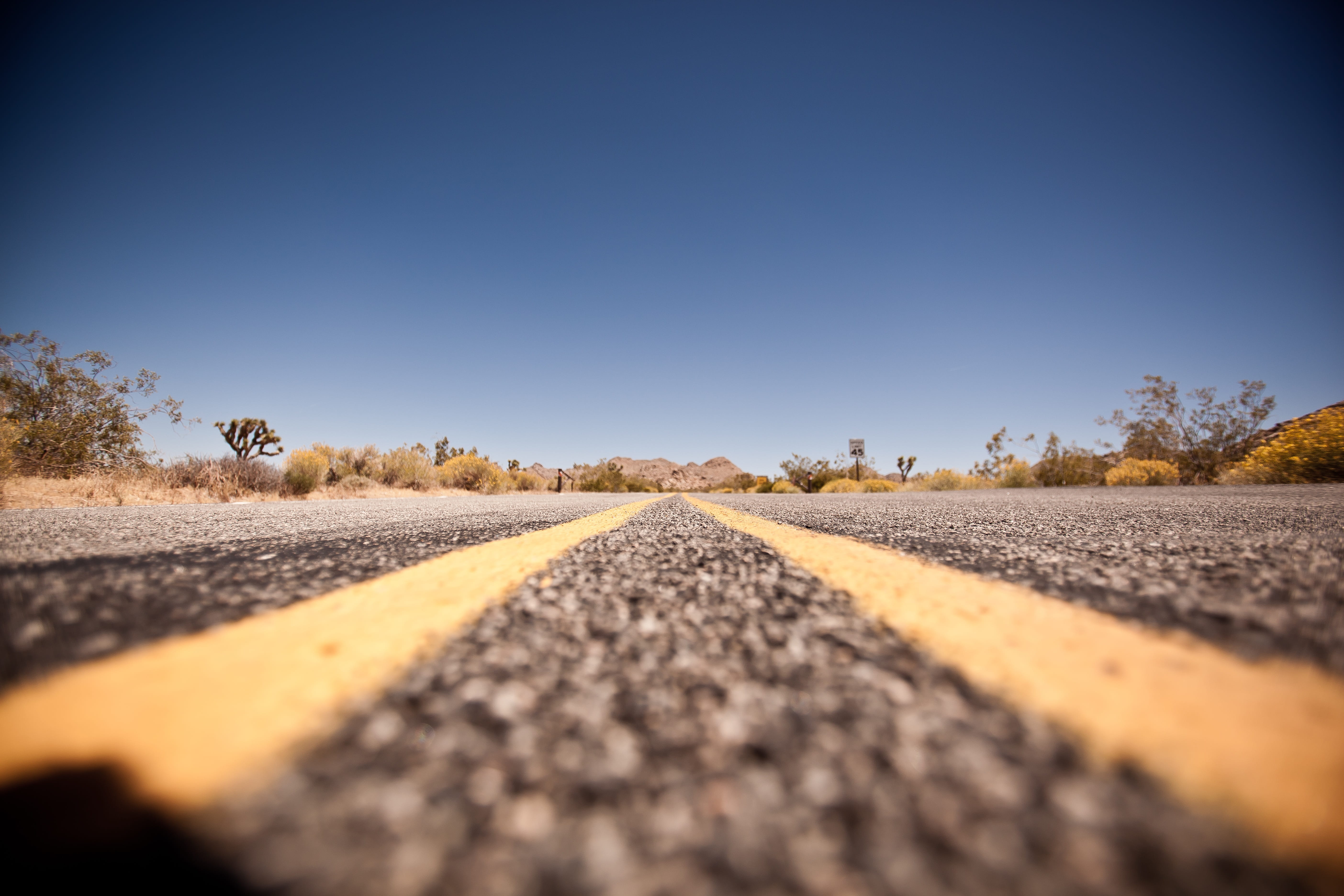 outdoors, sky, animal, america, blue, asphalt, no people, dividing line, road marking, Country, environment, sign, california, landscape, nature, direction, HD Wallpaper