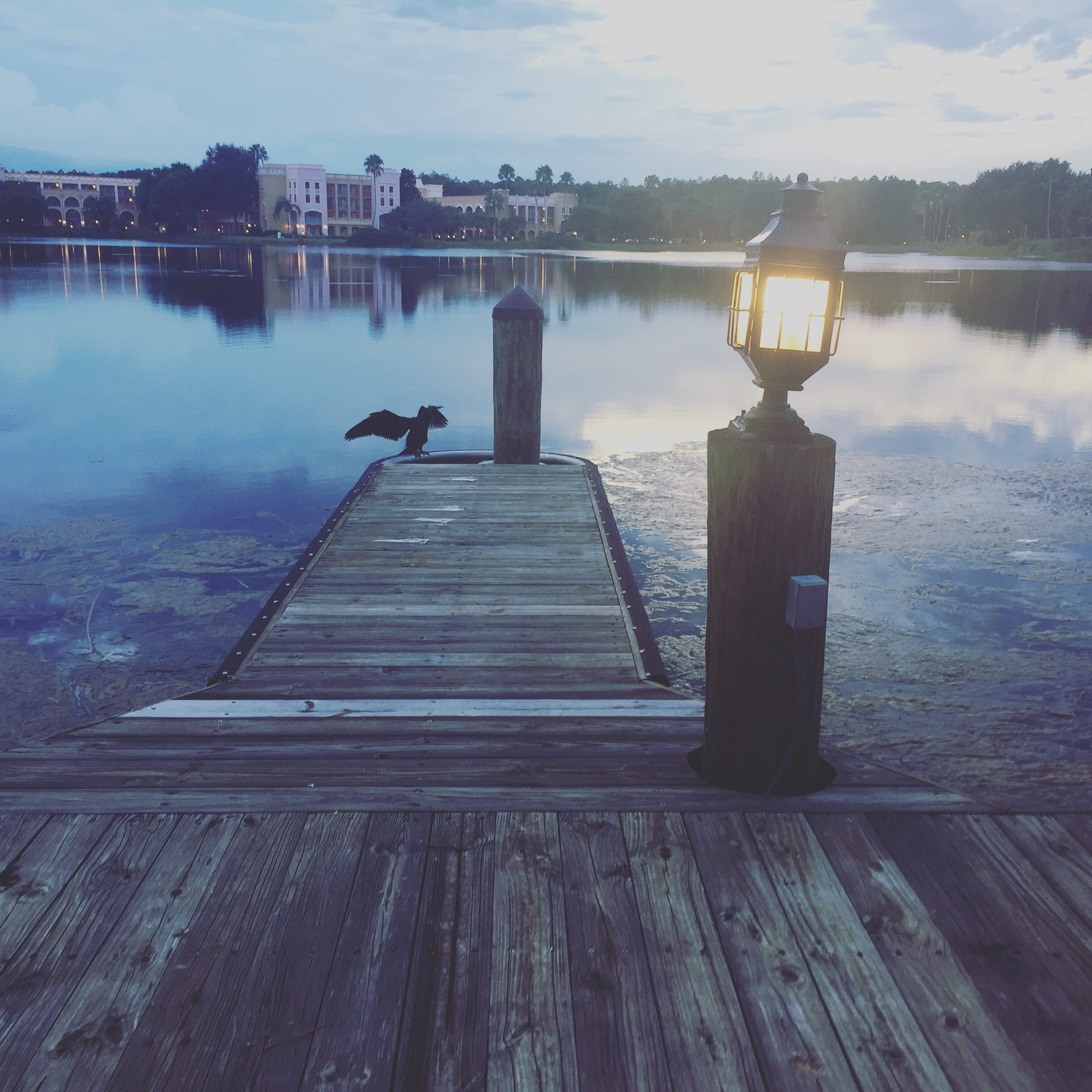 swamp, orlando, wooden post, wood, fly, sky, lantern, wood - material, jetty, light, seaweed, night, united states, architecture, nature, reflection, tranquility, Phone HD Wallpaper