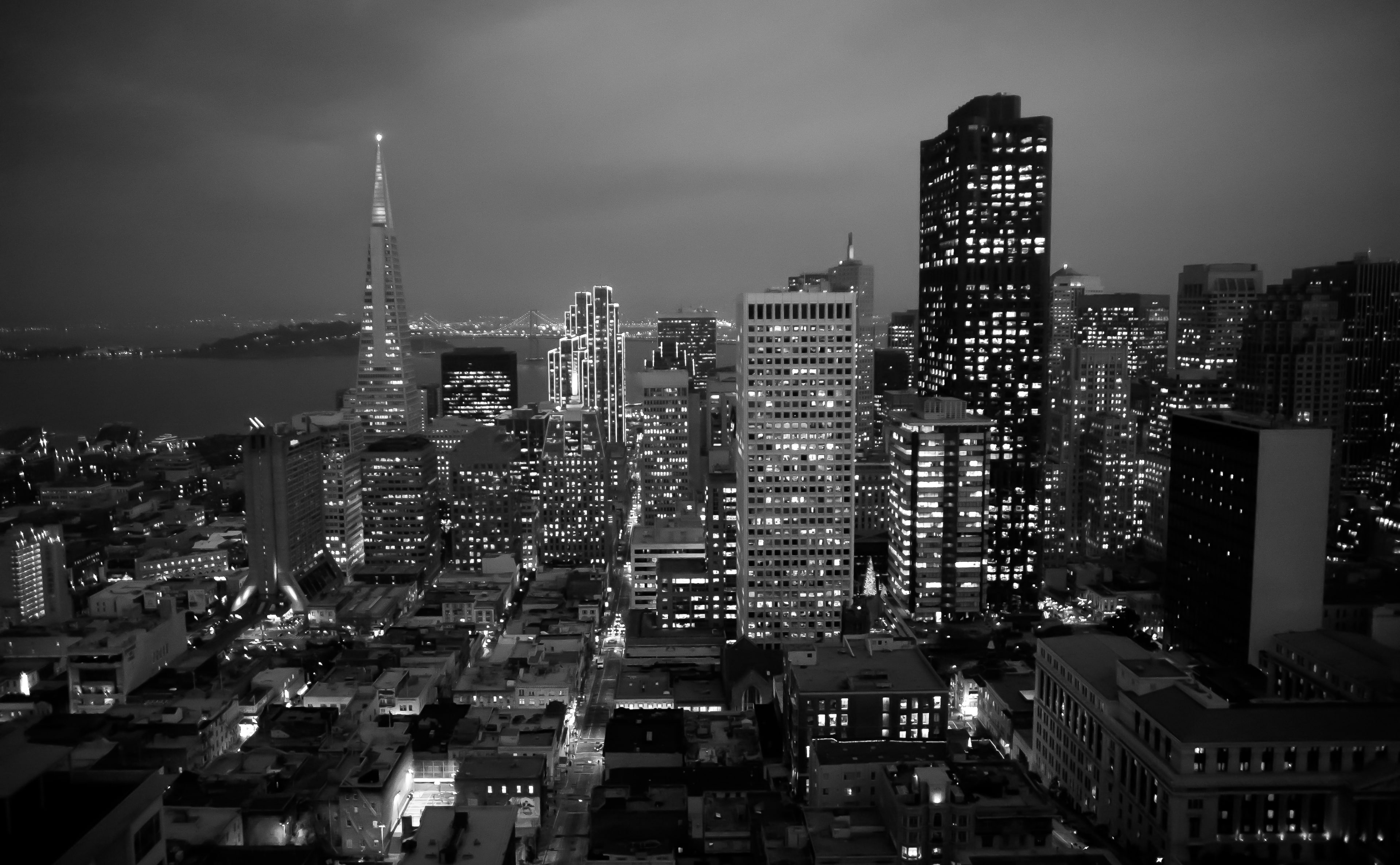 Architecture, south, Transamerica Building, urban skyline, 555 California St, building, tall - high, night, cityscape, United States of America, san francisco, HD Wallpaper