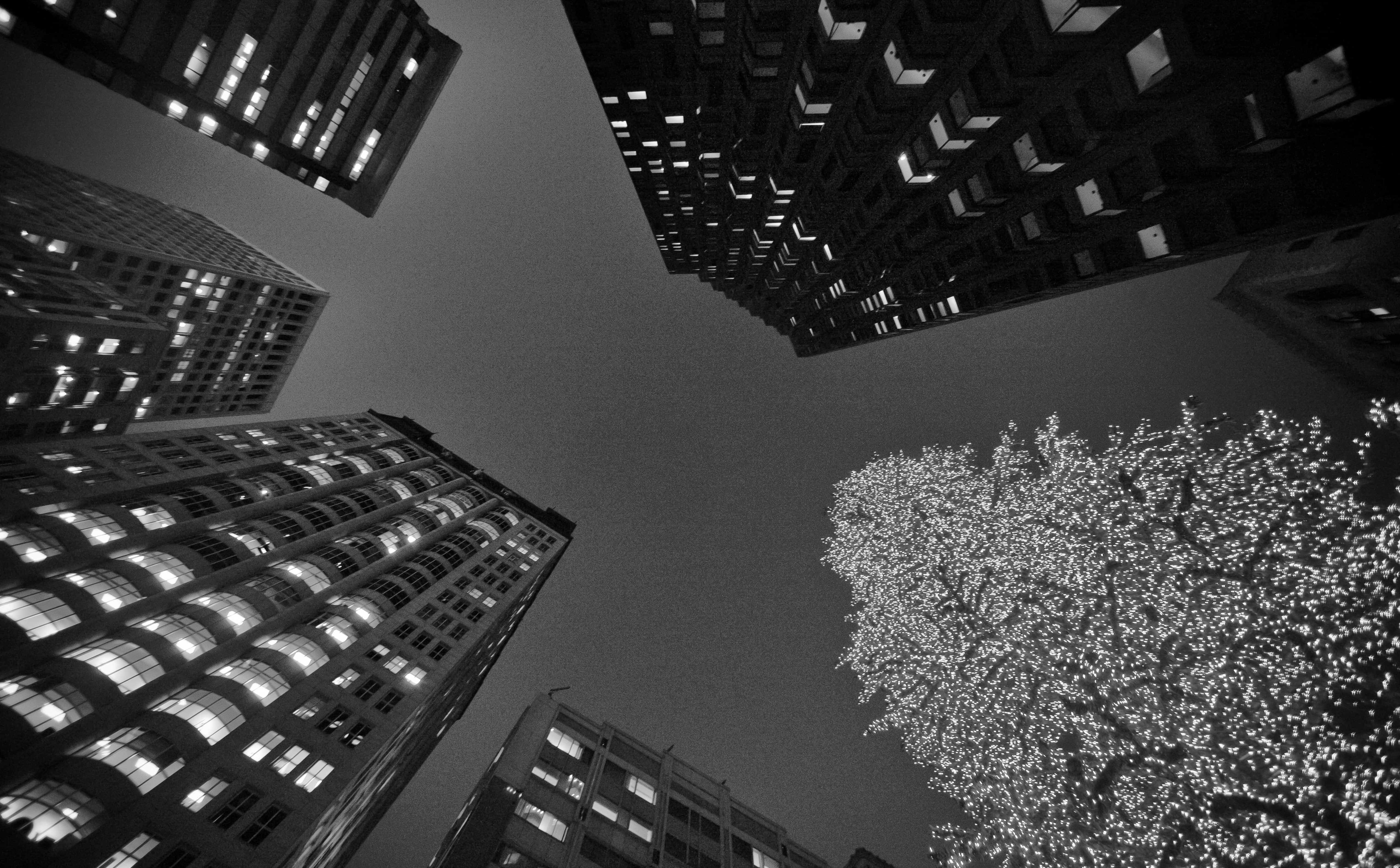 office building exterior, tower, directly below, 5K, no people, office, night, sky, francisco, gray, window, built structure, nature, United States of America, HD Wallpaper