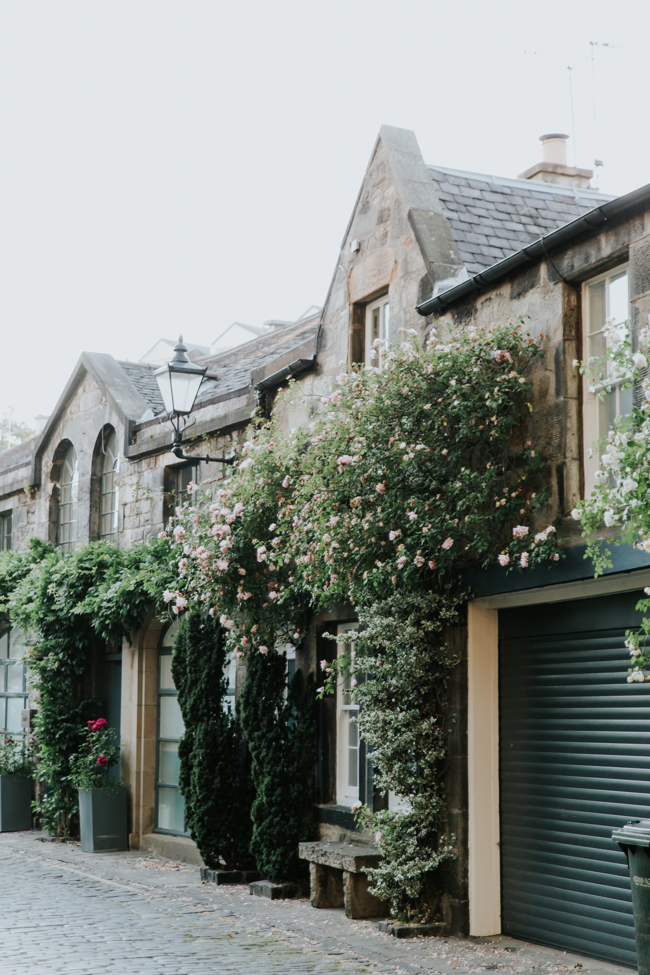 built structure, edinburgh, housing, yew, building, day, entrance, united kingdom, facade, clear sky, gray, history, residential district, nature, house, Phone HD Wallpaper