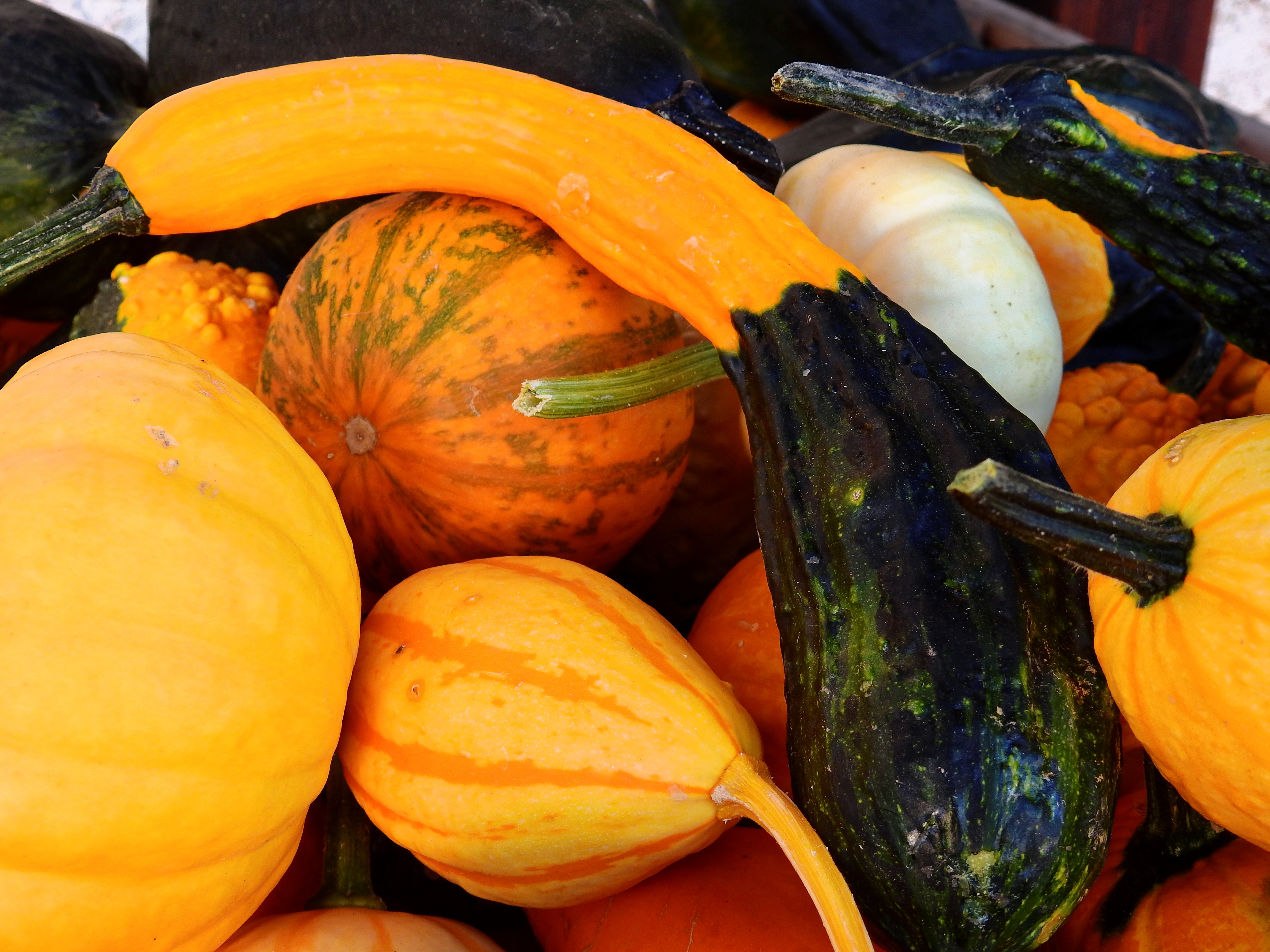 market, large group of objects, squash - vegetable, thanksgiving, ripe, decoration, no people, pumpkin, for sale, retail display, wellbeing, orange color, HD Wallpaper