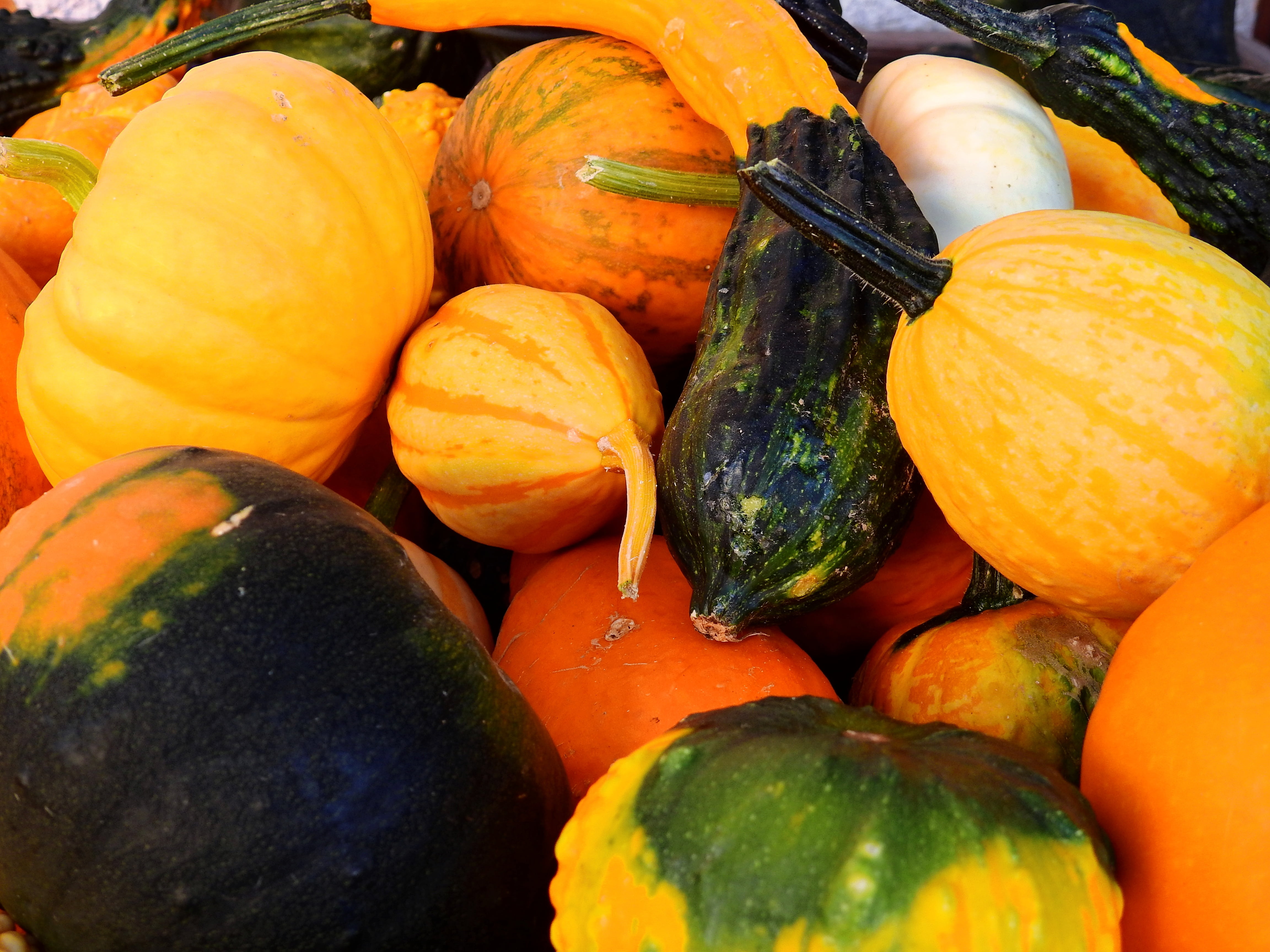 4K, nature, yellow, season, ripe, orange, close-up, fruit, harvest, food, freshness, still life, food and drink, decoration, wellbeing, thanksgiving, high angle view, HD Wallpaper