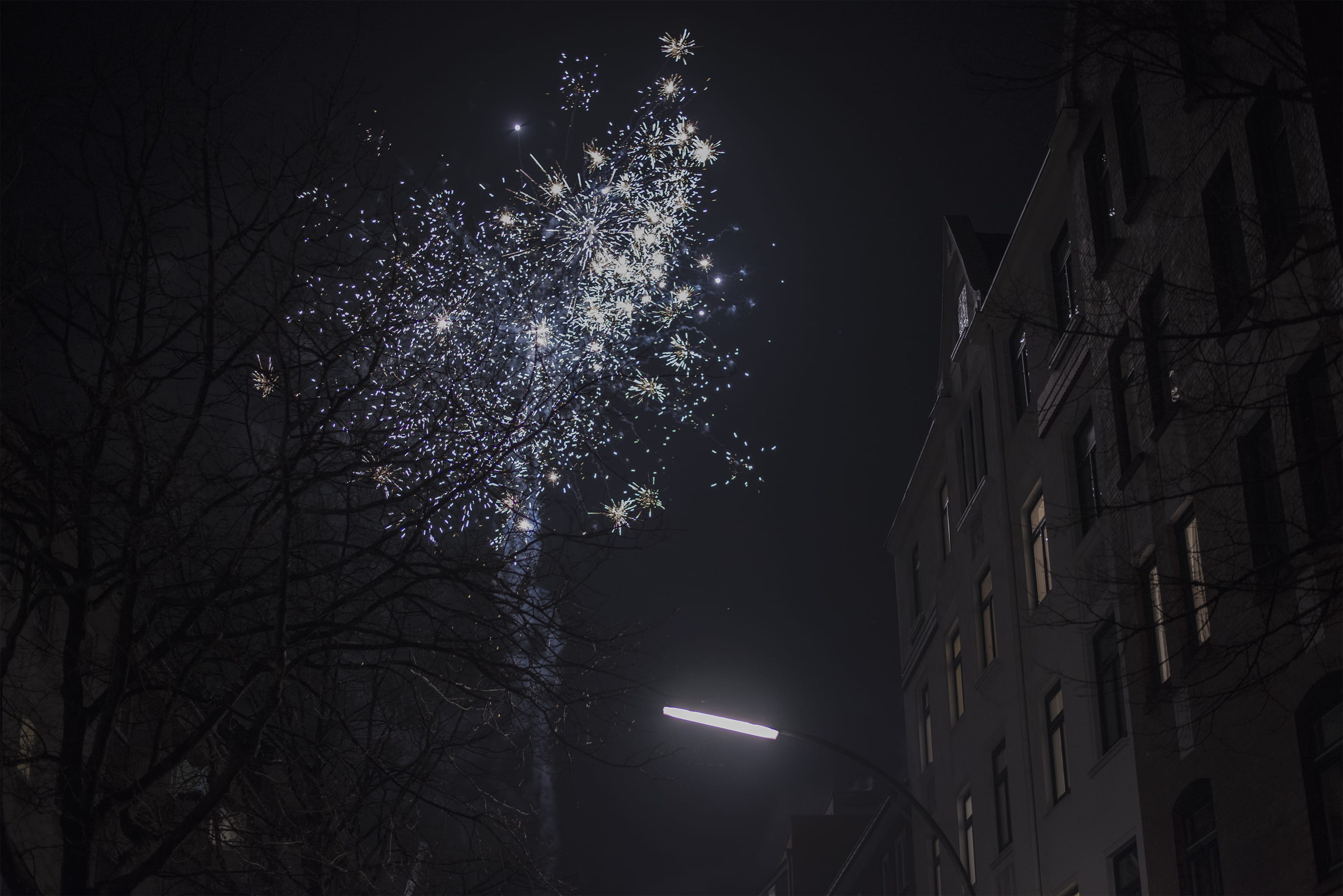 silvester, night, plant, nature, built structure, branch, tree, germany, silhouette, bare tree, outdoors, 2K, cityscape, illuminated, city, hamburg, building exterior, HD Wallpaper