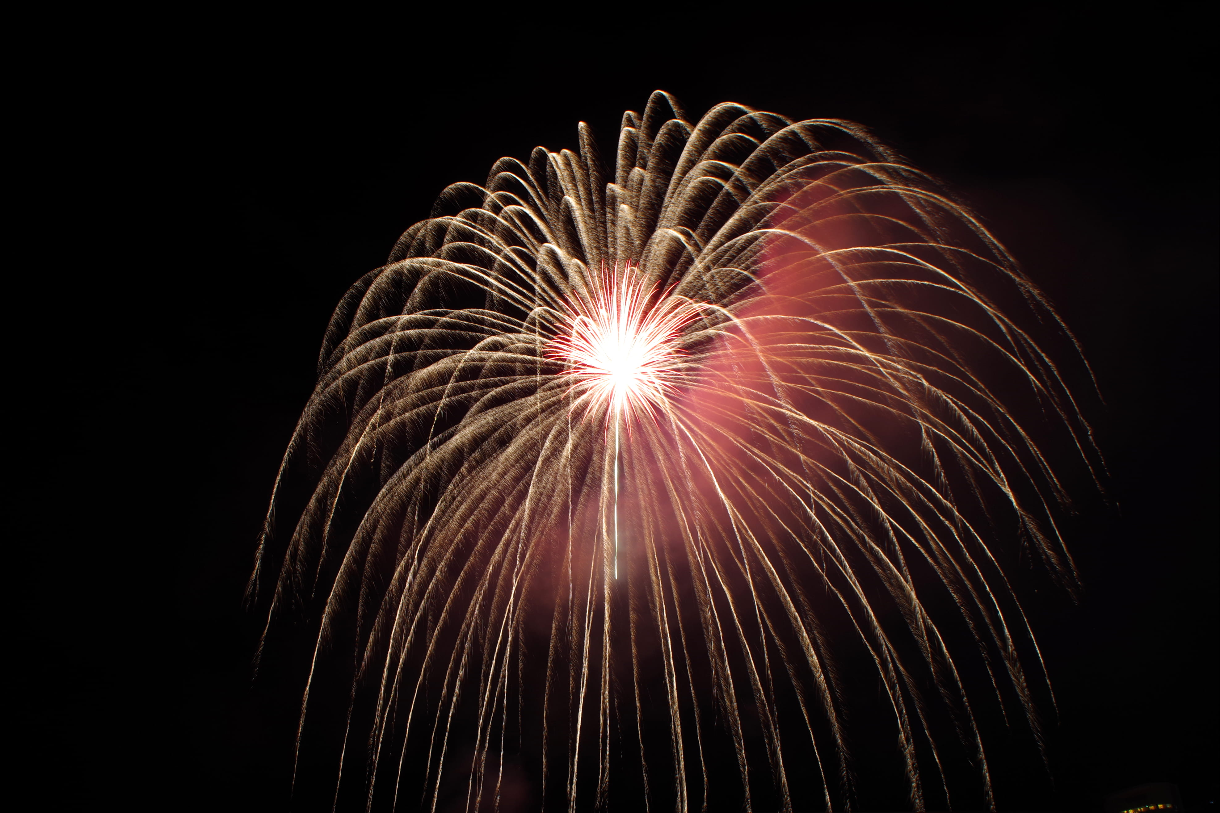 firework - man made object, light, low angle view, blurred motion, fireworks, july 4th, motion, event, yellow, arts culture and entertainment, bang, 4K, HD Wallpaper