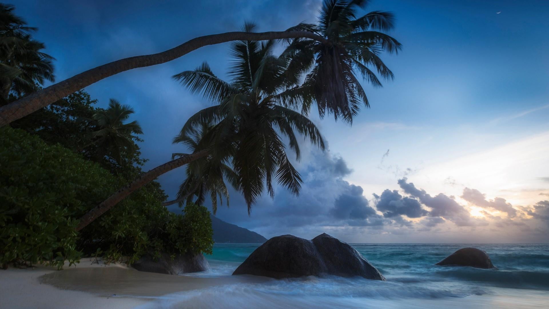 cloud, tropics, palm tree, tropical climate, palms, no people, tranquil scene, beauty in nature, paradise, evening, sea, 1080P, beach, scenics - nature, HD Wallpaper