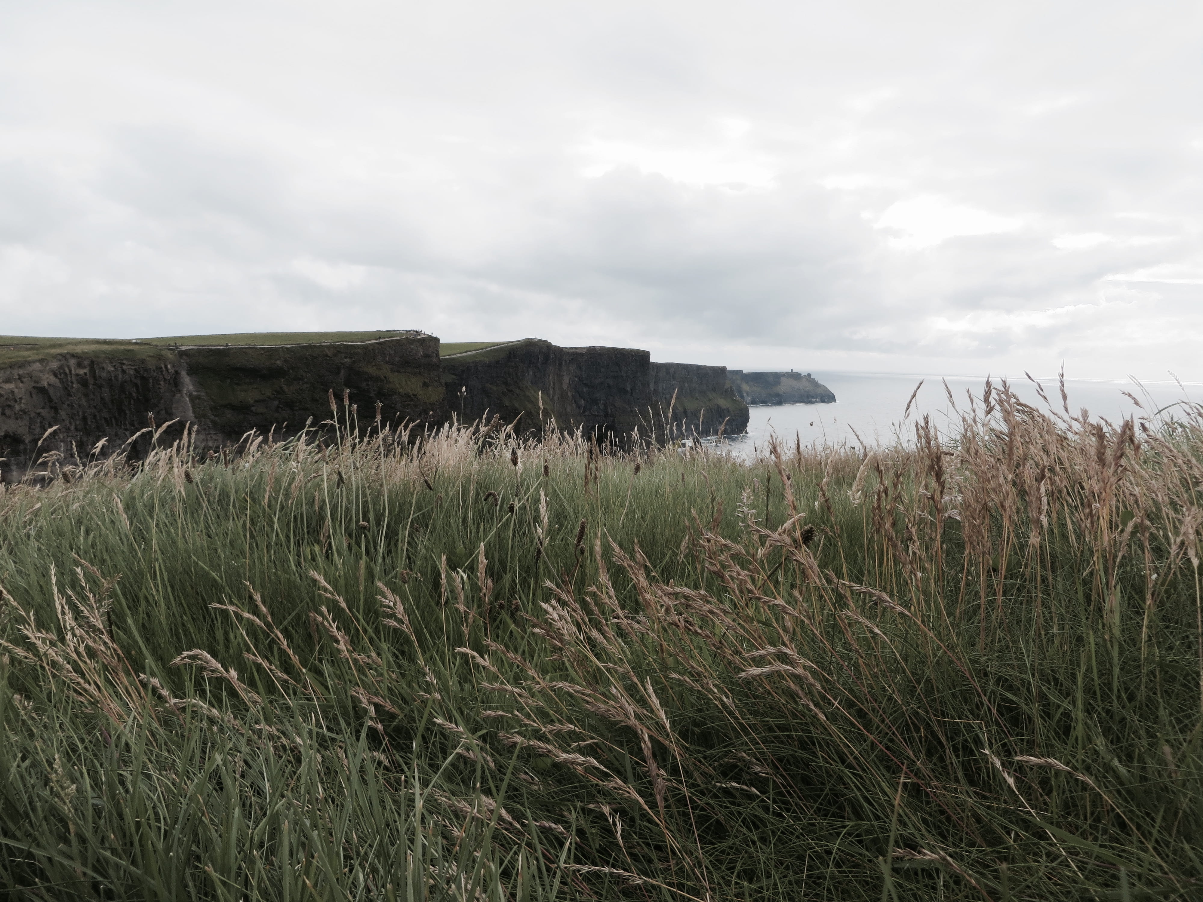 outdoors, cliffs, ocean, grass, water, growth, environment, tranquility, europe, landscape, oceanscape, atlantic, cloud - sky, sky, wild, land, irish, architecture, HD Wallpaper