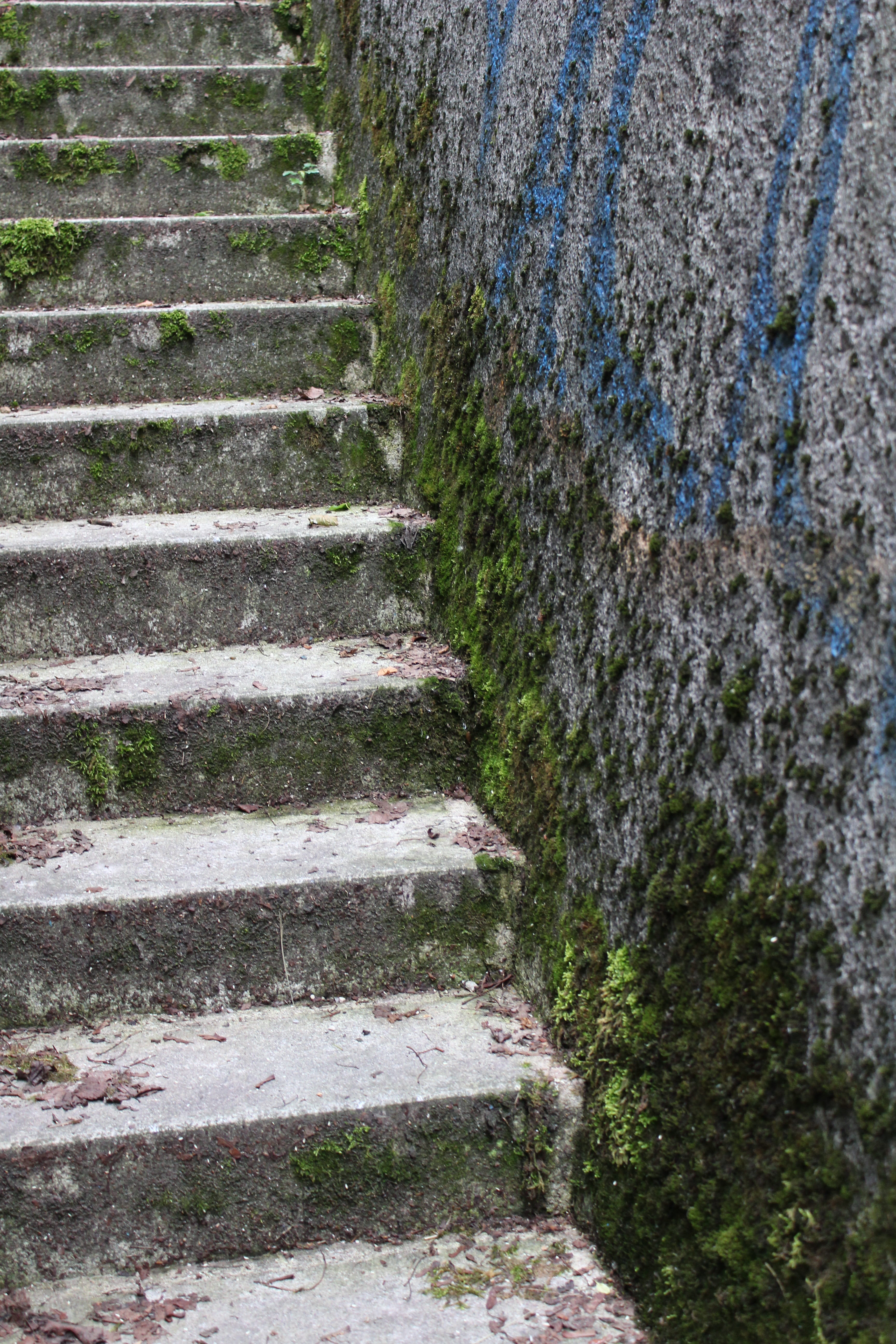 gradually, nature, dirty, day, the way forward, no people, wall, architecture, stone material, wall - building feature, steep, stairs, growth, staircase, Phone HD Wallpaper