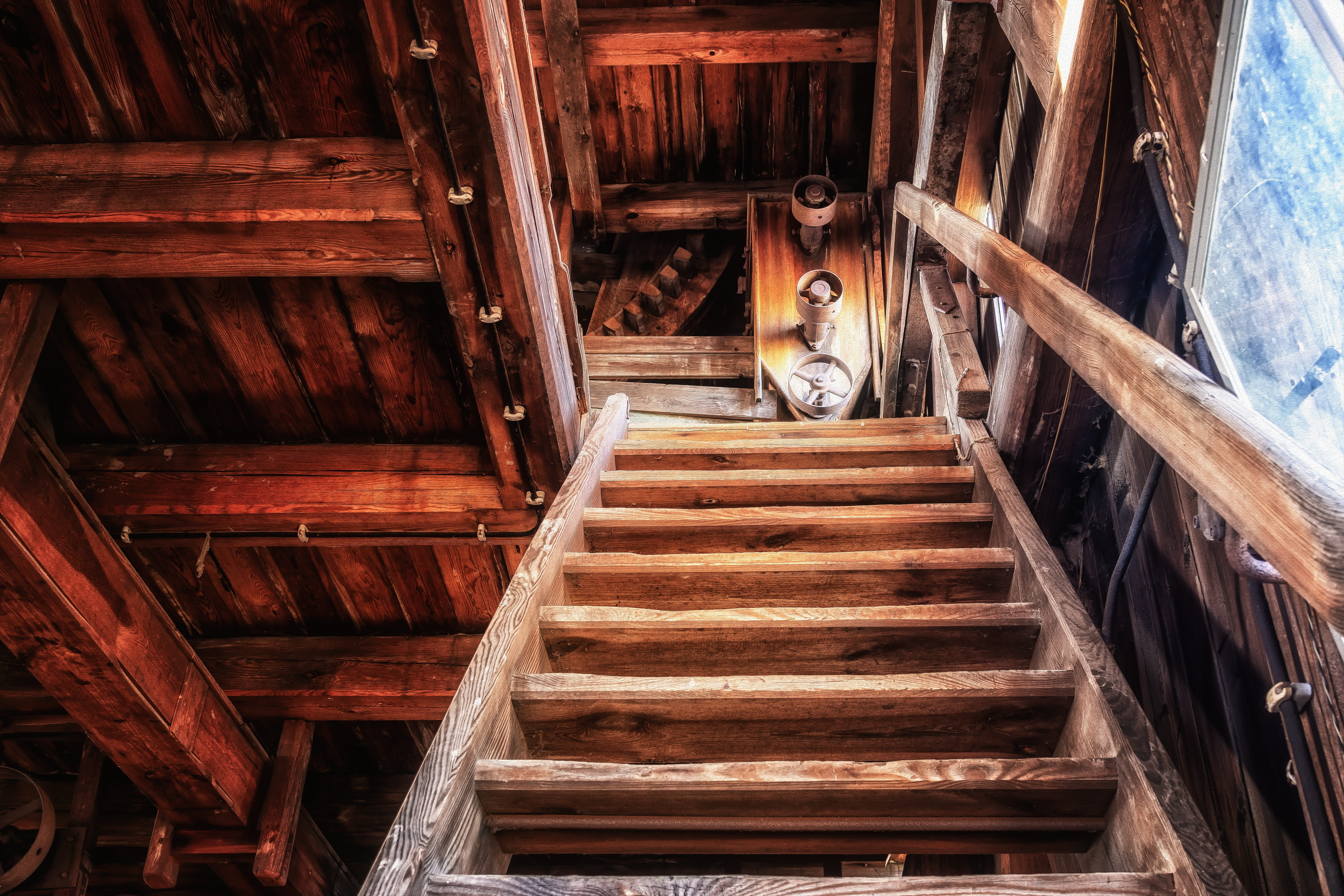 indoors, brown, abandoned, domestic, high, rise, domestic animals, ceiling, animal, pets, wood stairs, 5K, animal head, no people, animal themes, feline, HD Wallpaper