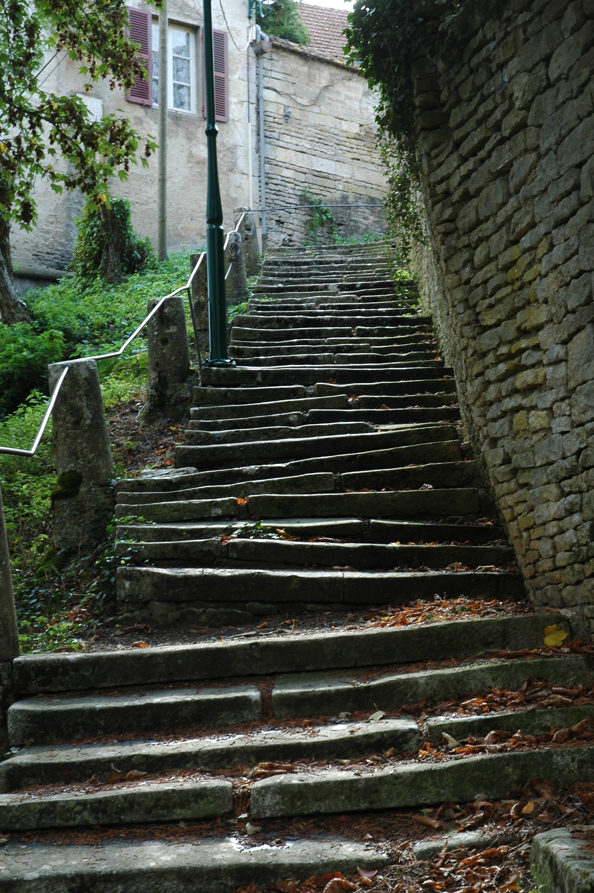 building, plant, stone, railing, stair step, stairs, moving up, direction, low angle view, 2K, old, the way forward, no people, steep, building exterior, Phone HD Wallpaper