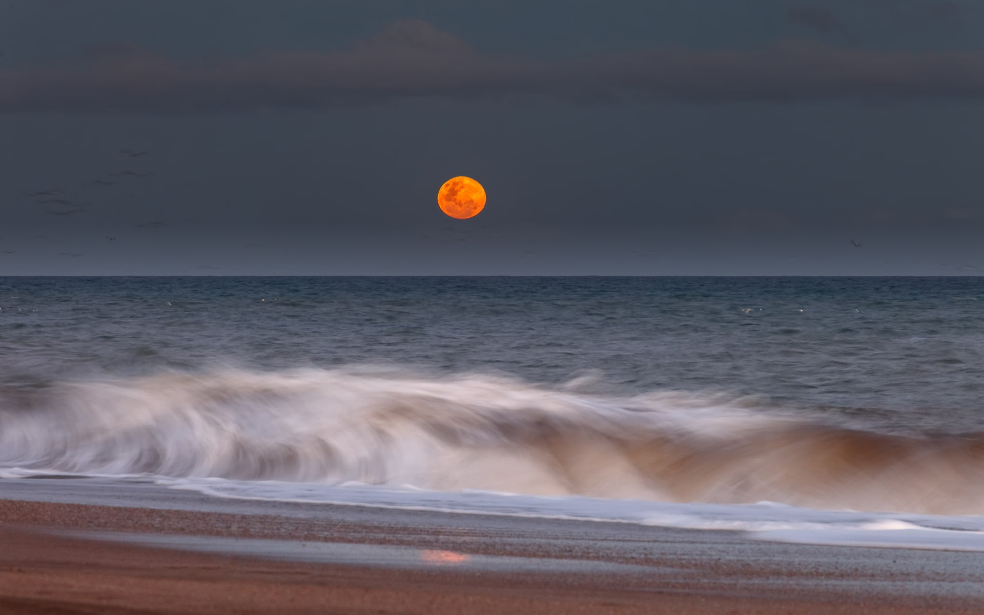 1080P, moon, harvest, beach, timelapse, hd, ocean, wave, nature, HD Wallpaper