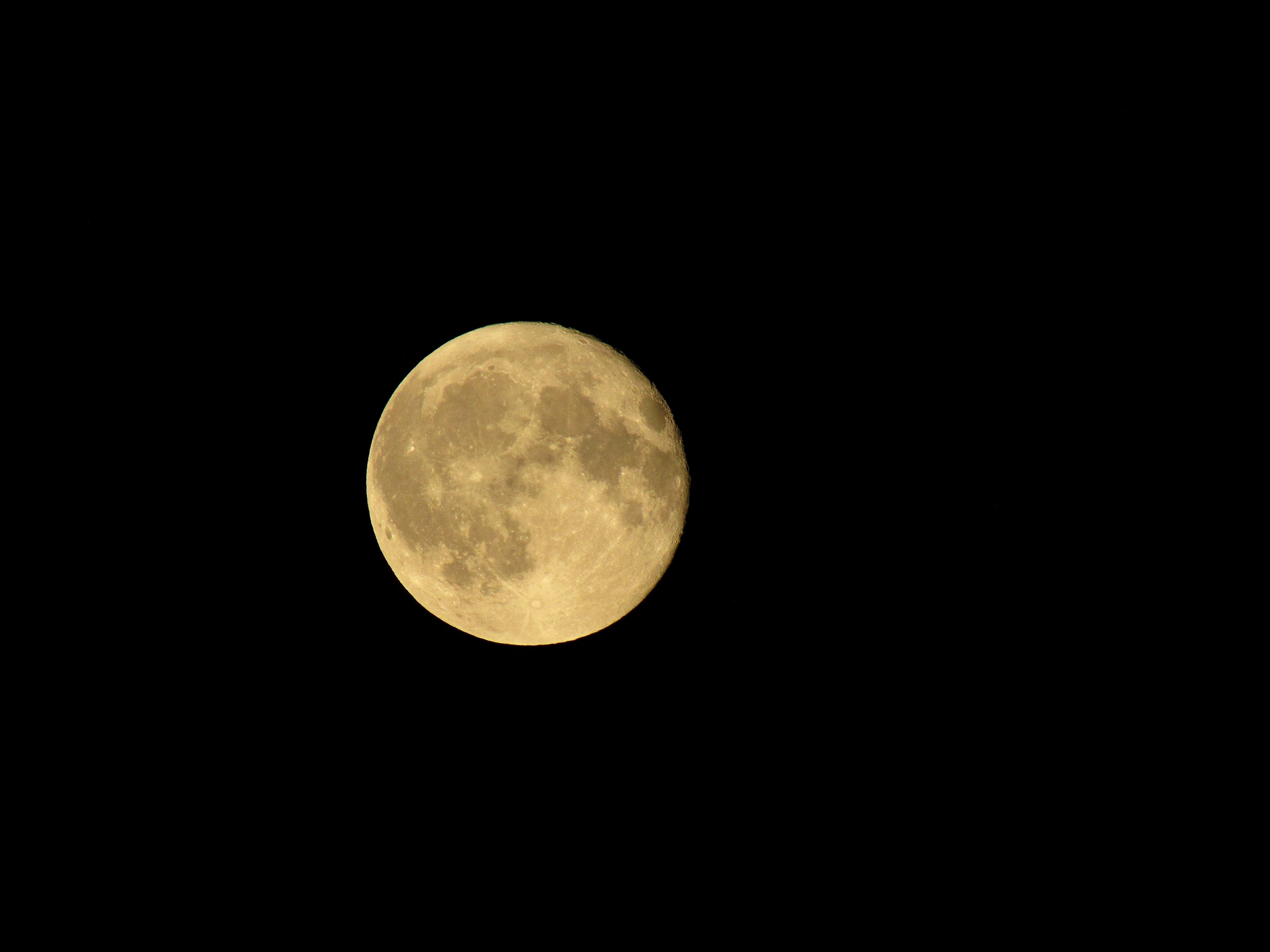 harvest moon, copy space, moon, circle, astrology, 5K, full Moon, moon Surface, night, space, outdoors, beauty in nature, shape, planet - Space, sky, dark, HD Wallpaper