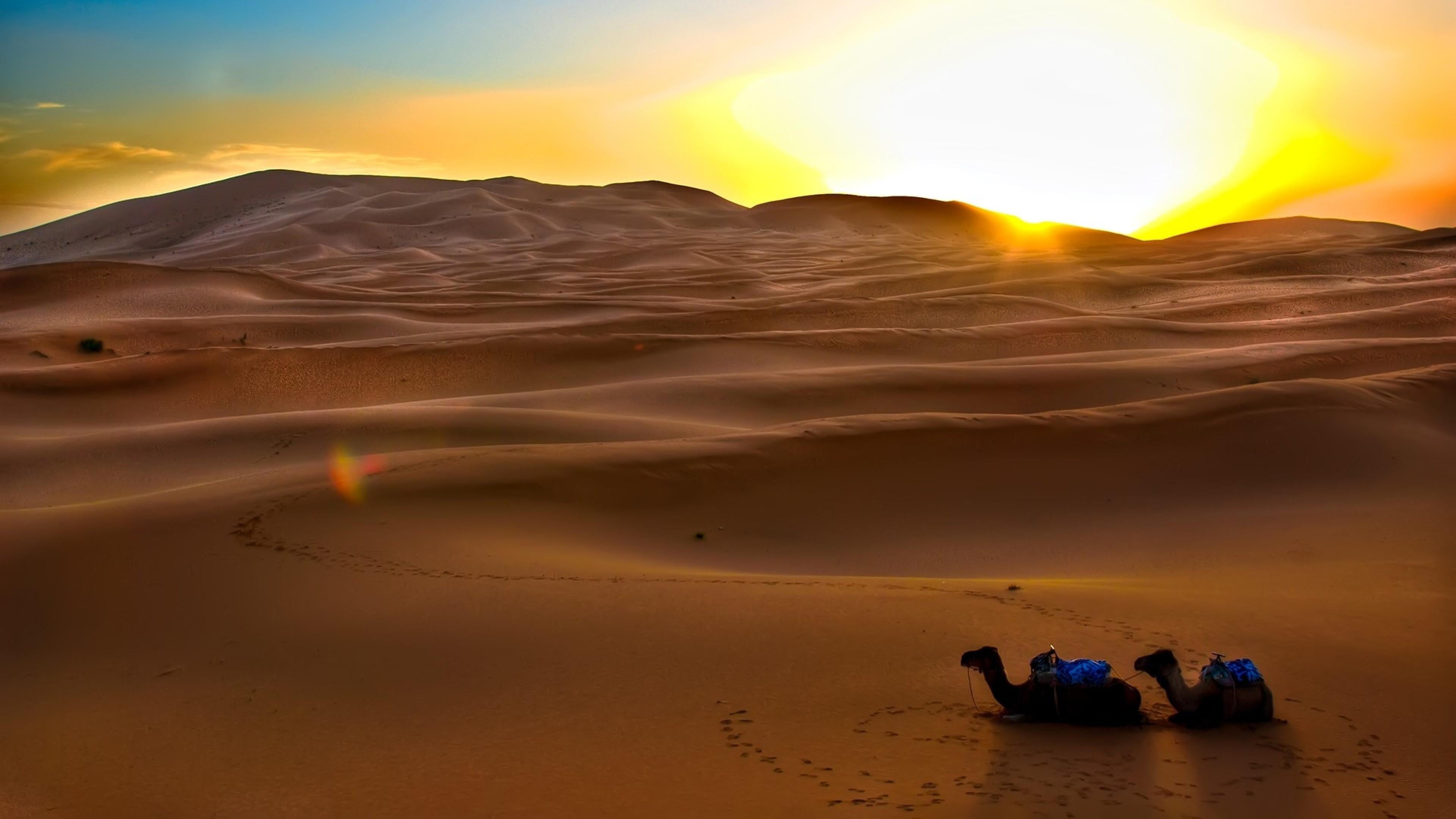 camels, traces, climate, horizon, non-urban scene, nature, mountain, africa, singing sand, sunlight, orange color, arid climate, people, camel, tranquil scene, HD Wallpaper