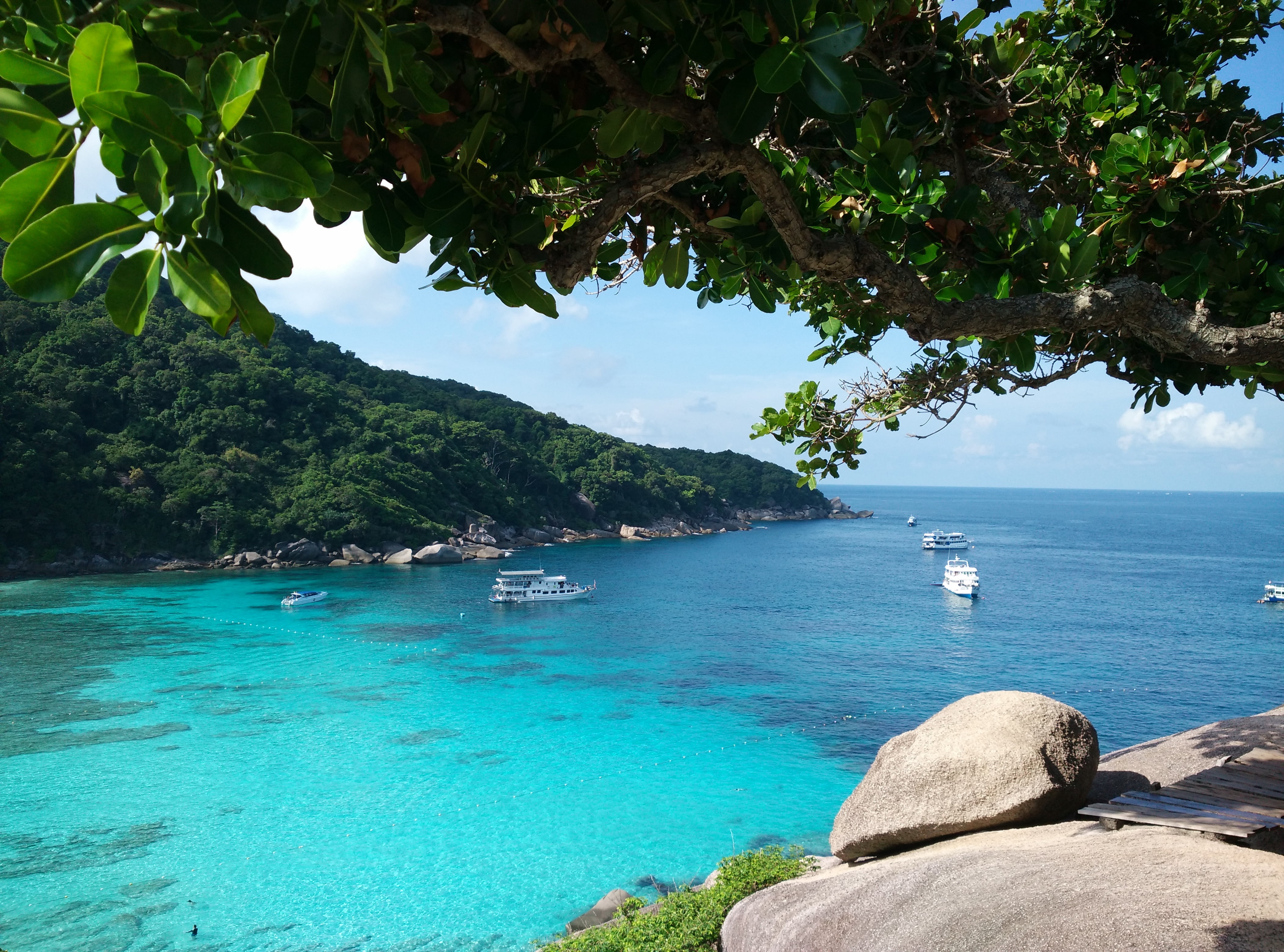 day, plant, nautical vessel, tranquil scene, travel, nature, tropical Climate, blue, no people, land, sailboat, coastline, sea, outdoors, scenics - nature, HD Wallpaper