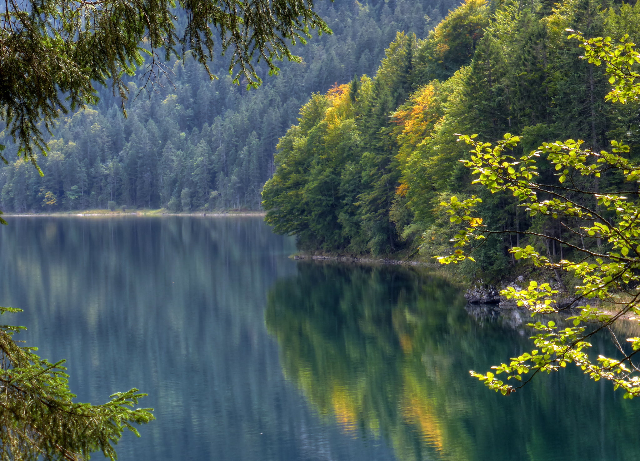 scenics - nature, lake, mountain, tranquility, plant, idyllic, green color, no people, autumn, Bayern, body, beauty in nature, calm, tree, growth, tranquil scene, HD Wallpaper
