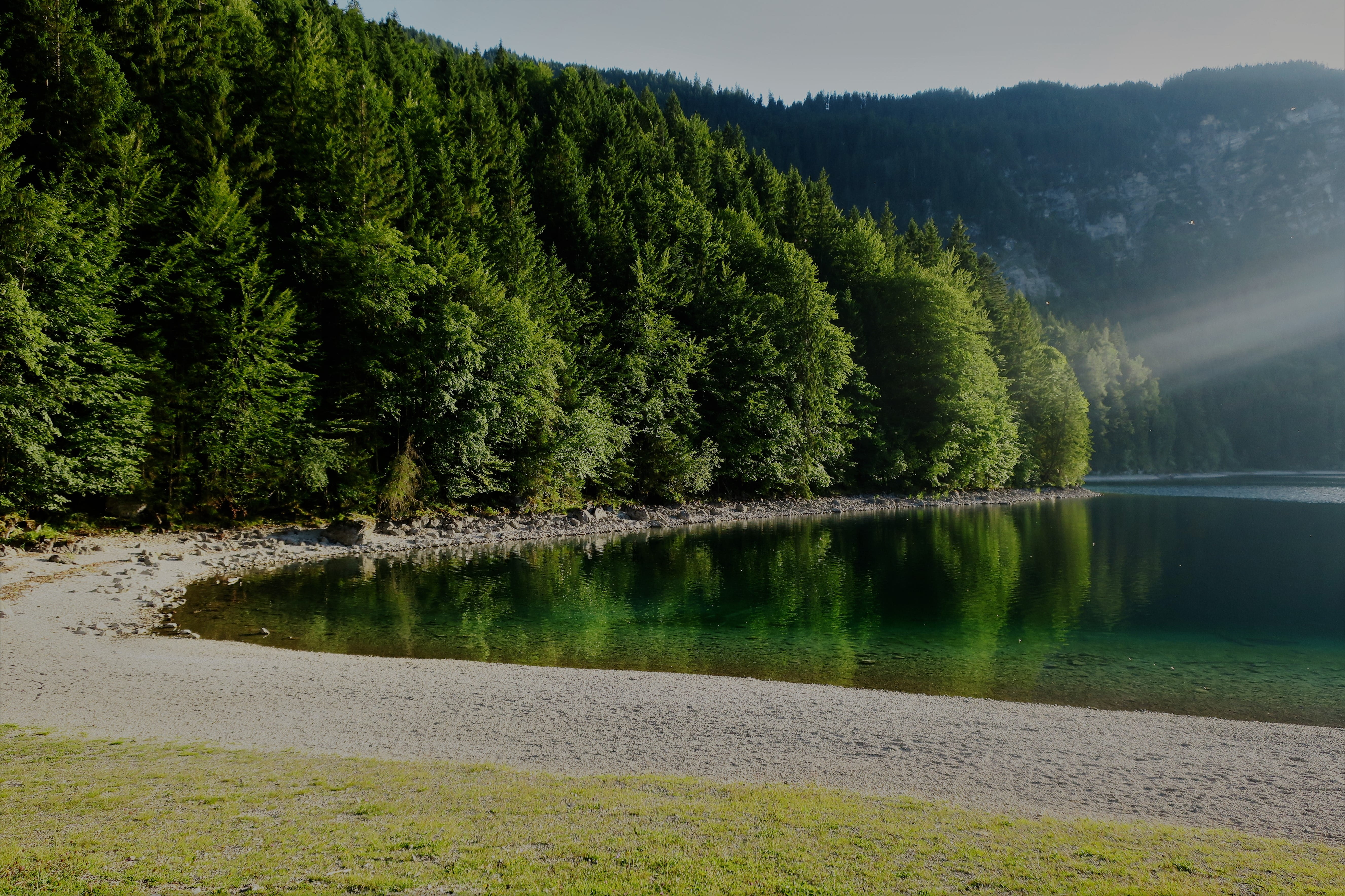 beauty in nature, plant, blinding, green color, no people, abendstimmung, lake, 5K, grainau, coniferous tree, water, sunset, non-urban scene, growth, bavaria, HD Wallpaper