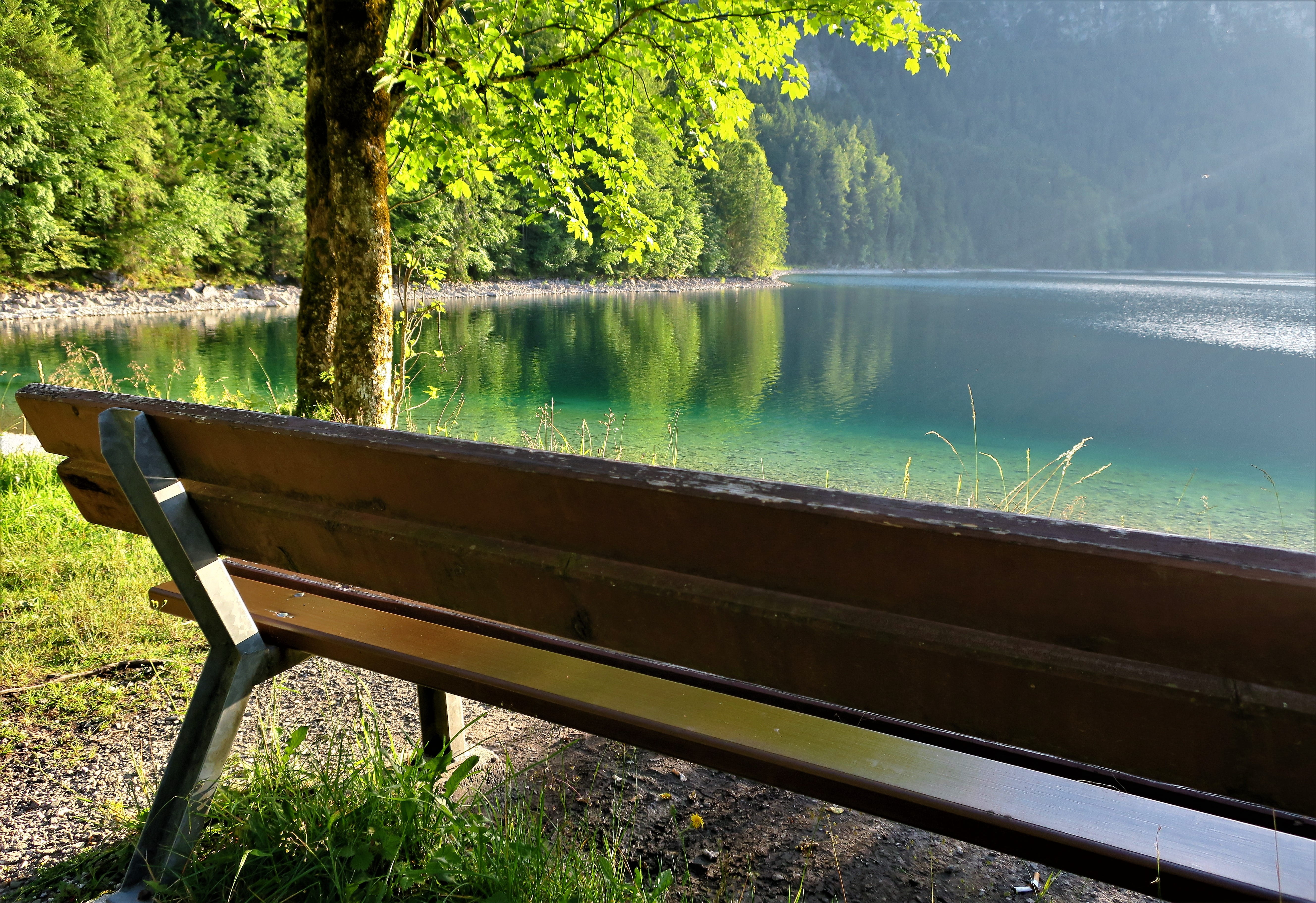 bench, break, green, relax, no people, growth, tranquility, nature, eibsee, scenics - nature, green color, plant, idyllic, lake, sit, water, bank, relaxation, HD Wallpaper