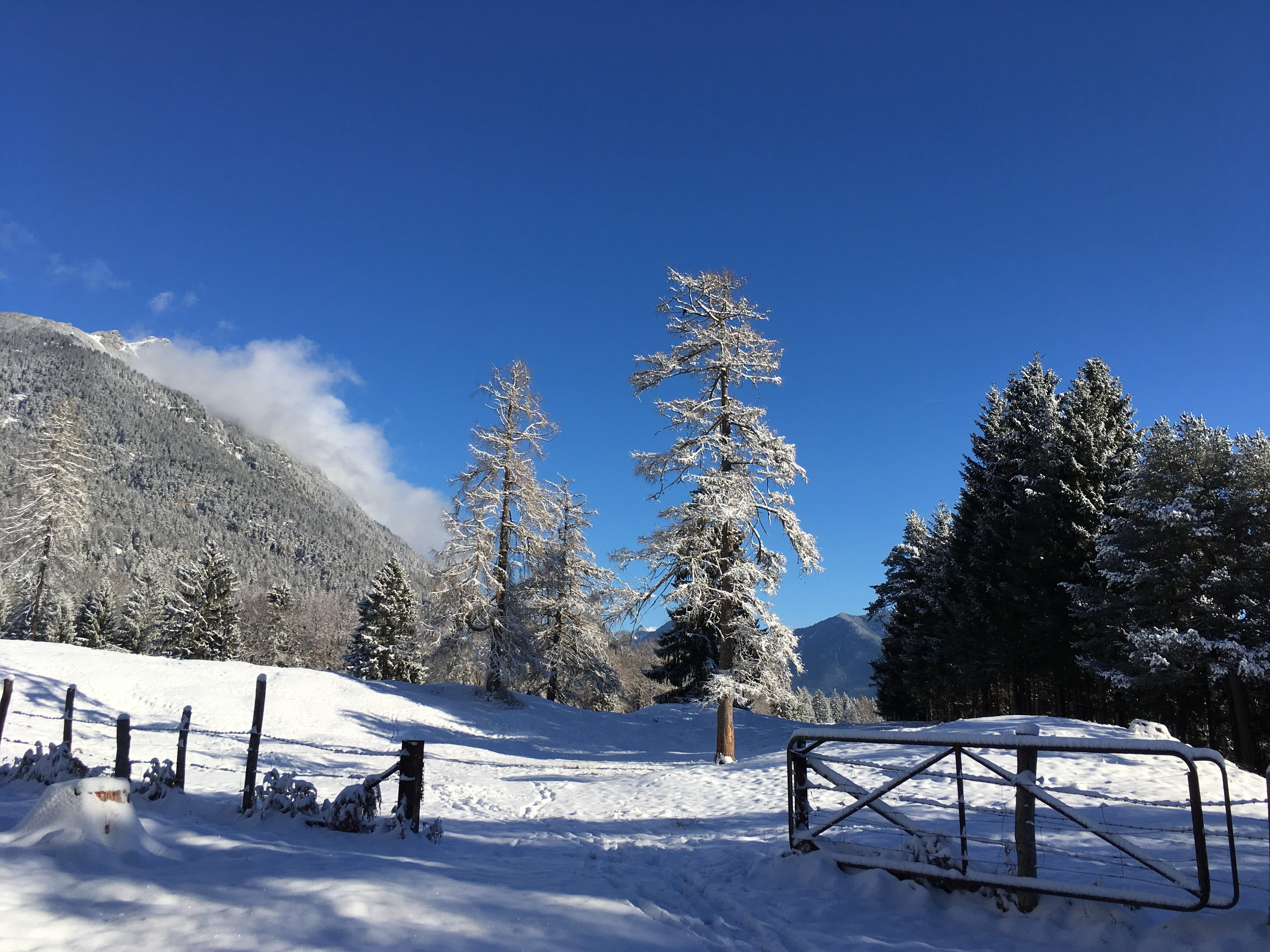 color Image, beauty In Nature, blue, landscapes, no People, nature, snowcapped mountain, season, rural Scene, non-Urban Scene, tree, scenics, tranquil Scene, HD Wallpaper