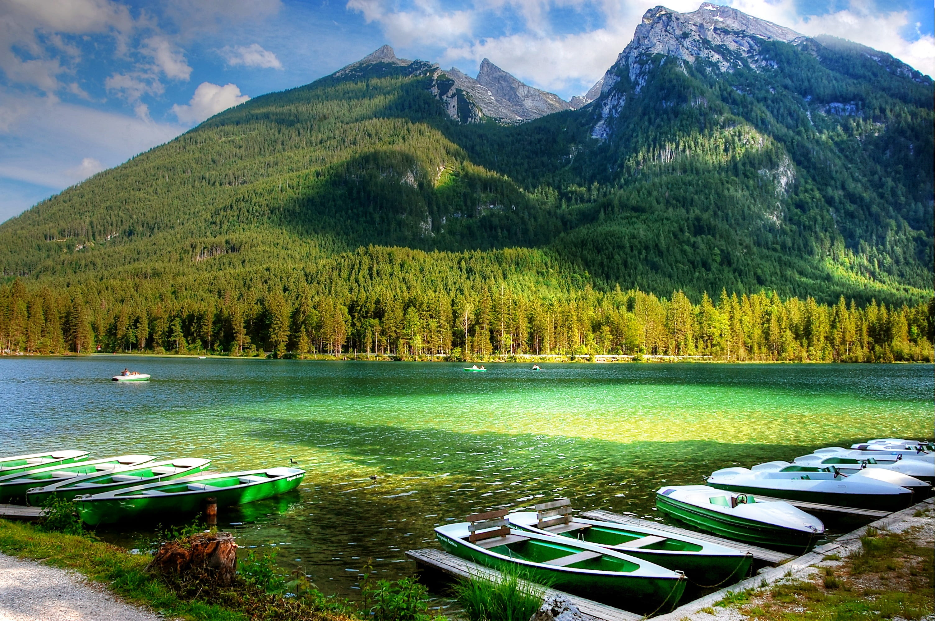 scenics - nature, mountain, forest, bavaria, no people, green color, mood, nature park, tranquil scene, idyllic, vacations, tree, panorama, summit, national park, HD Wallpaper