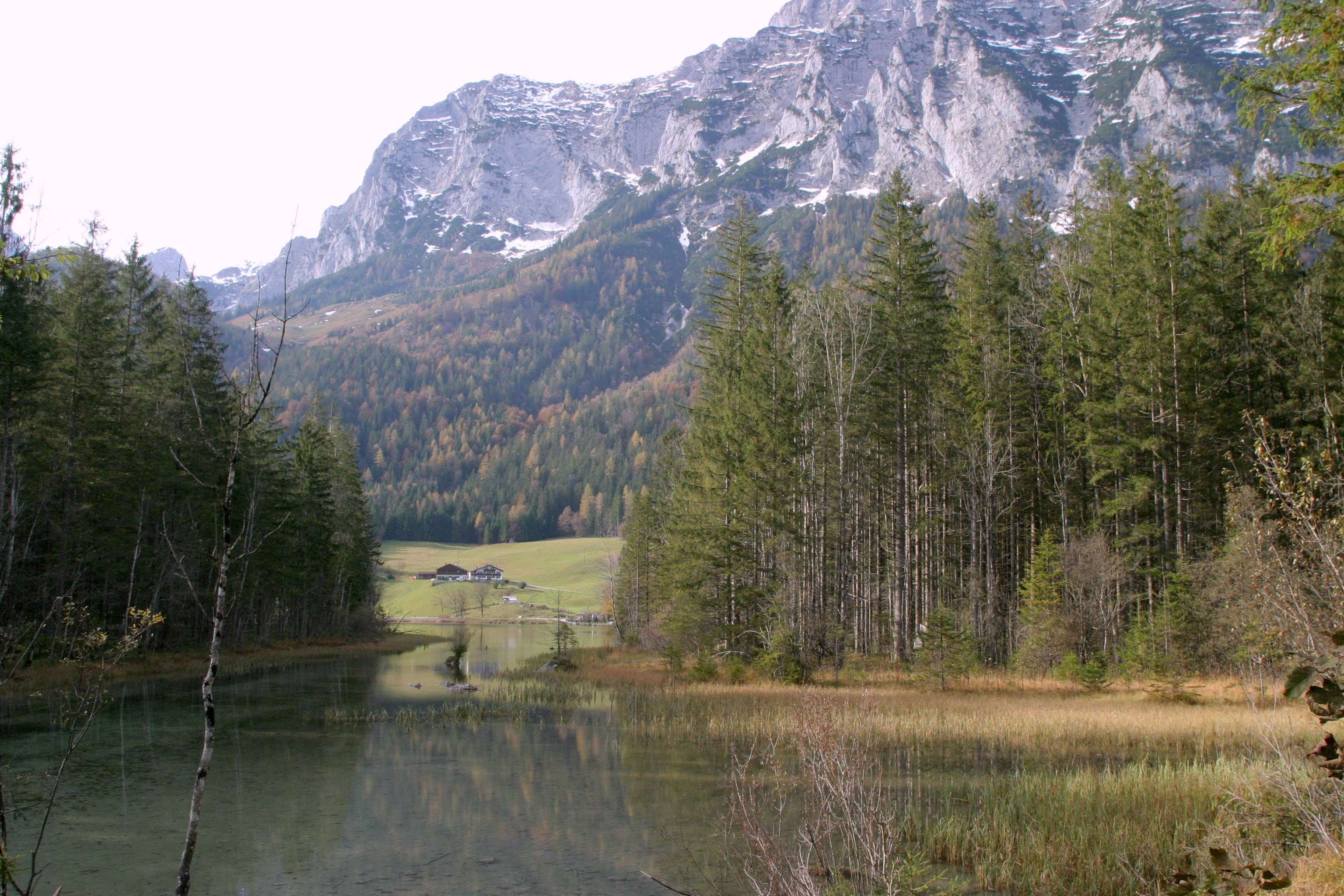 land, panorama, mountain range, plant, growth, outdoors, mountains, alpine, bavaria, ramsau, reflection, scenics - nature, water, mountain, 2K, tree, idyllic, HD Wallpaper
