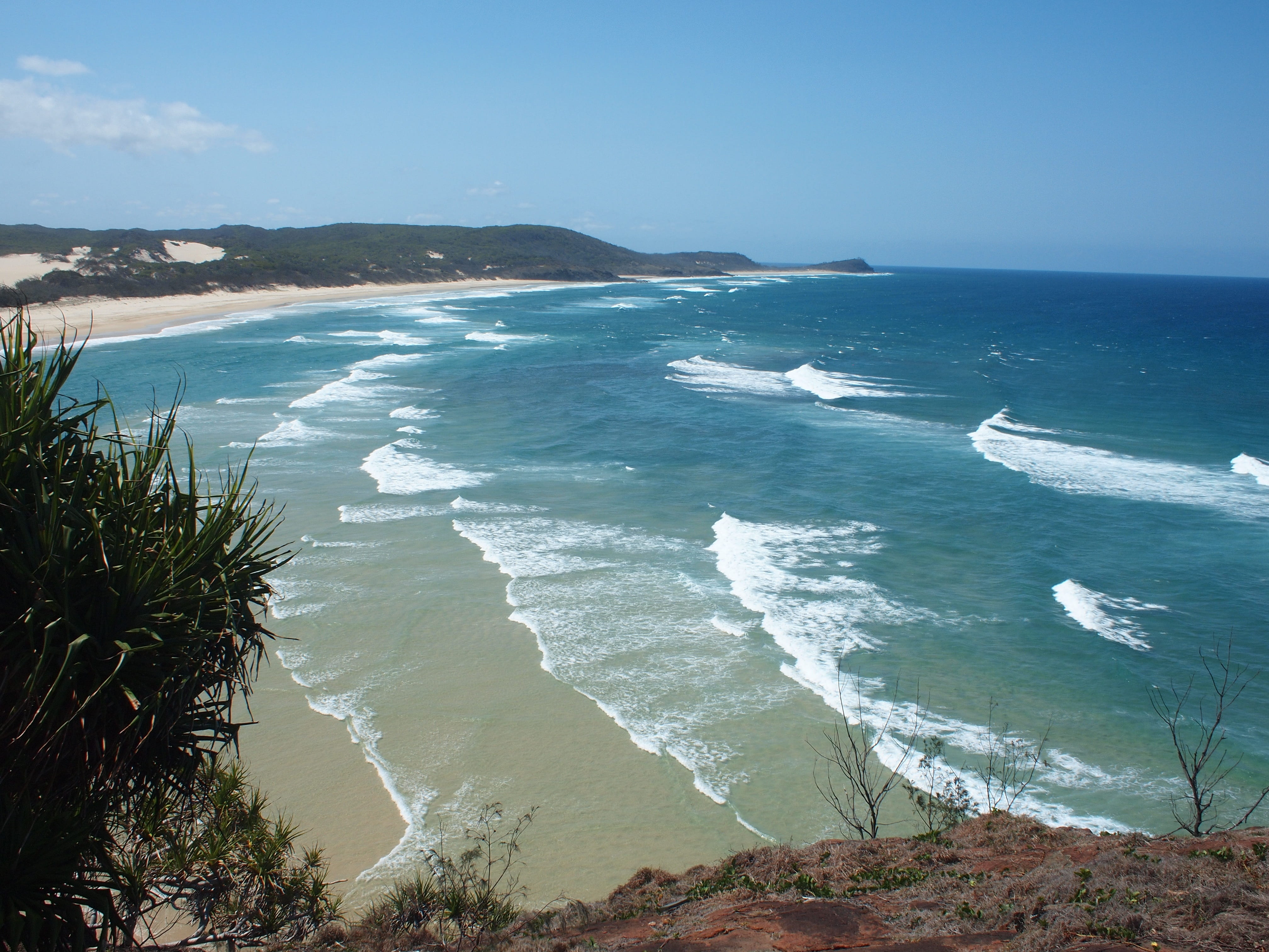 queensland, bay, scenics - nature, sky, beauty in nature, wave, tranquility, water, plant, noosa, surfing, waves, australia, sea, beach, outdoors, aquatic sport, HD Wallpaper
