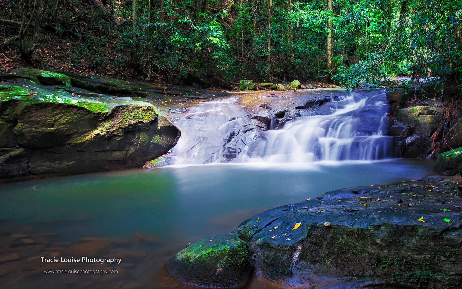 solid, waterfall, rock, forest, long exposure, rainforest, environment, land, motion, beauty in nature, queensland, scenics - nature, plant, hd, water, HD Wallpaper