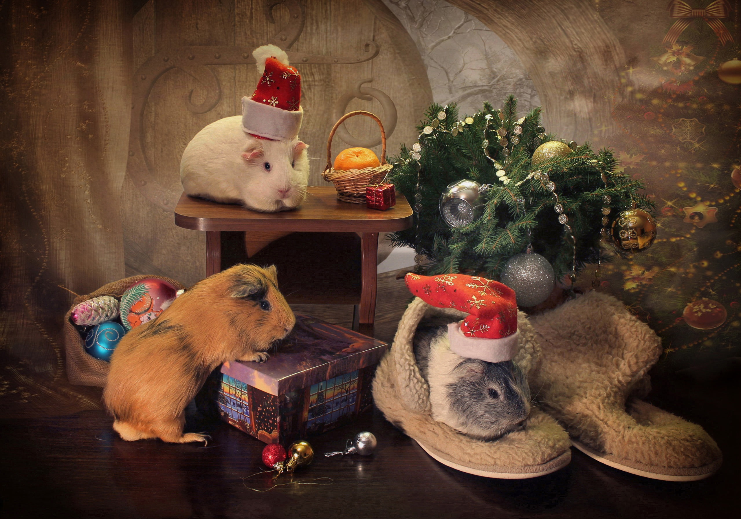 rodents, Trinity, gift, decoration, caps, New year, 2K, Guinea pigs, balls, toys, spruce branches, HD Wallpaper