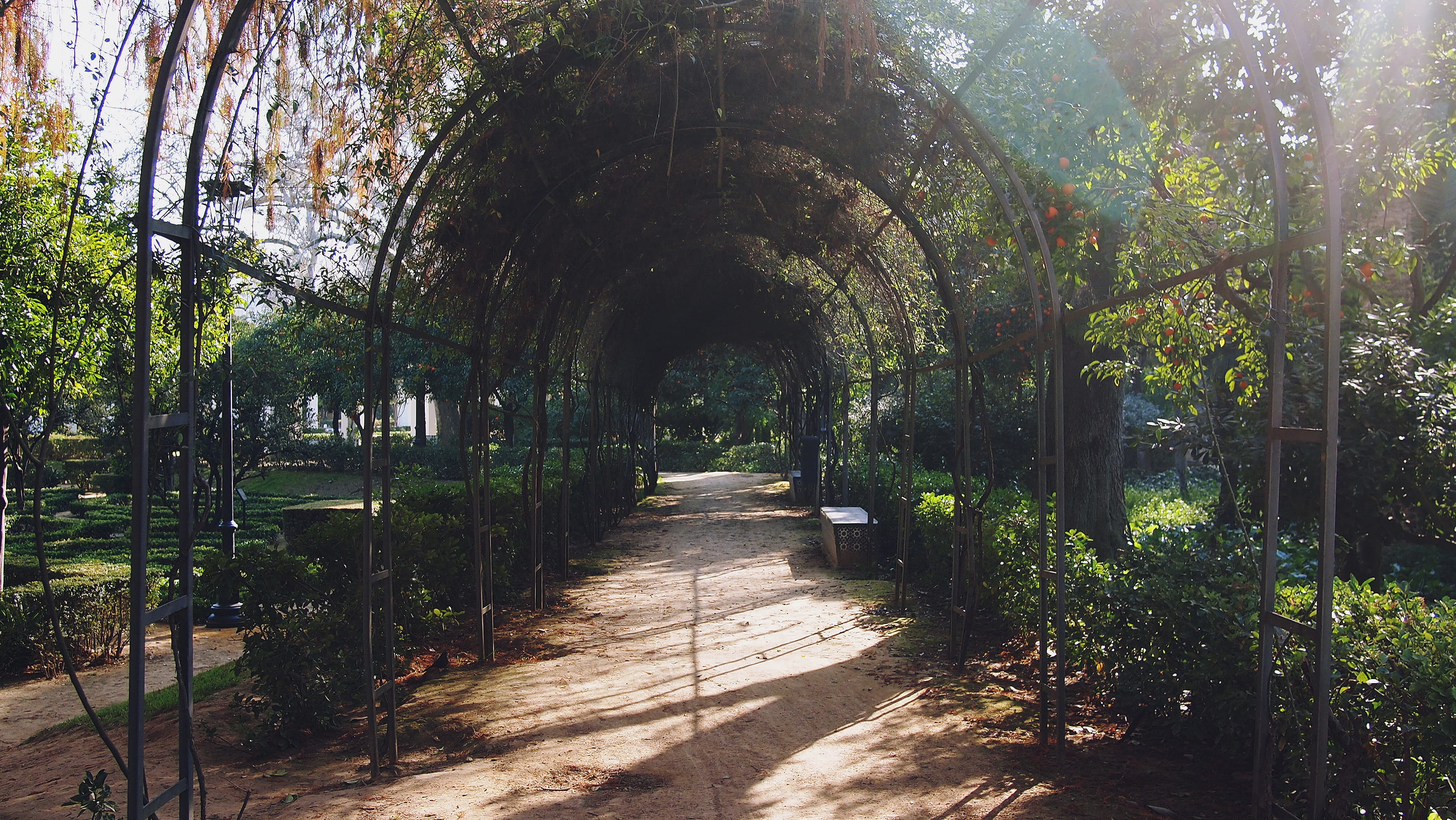 nature, parque de maría luisa, seville, arch, blessing, the way forward, no people, bench, walk, retreat, diminishing perspective, travel, park, spain, HD Wallpaper