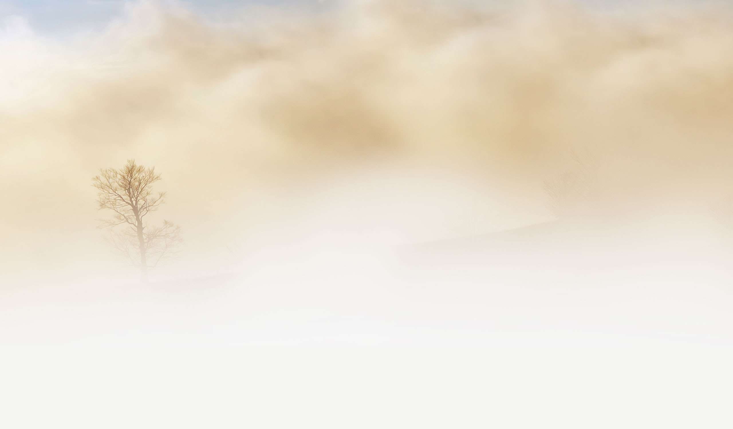 abstract backgrounds, natural, sand storm, weather, plant, tree, outdoor, wind, snow, cold temperature, softness, copy space, blowing, 2K, cloud - sky, HD Wallpaper