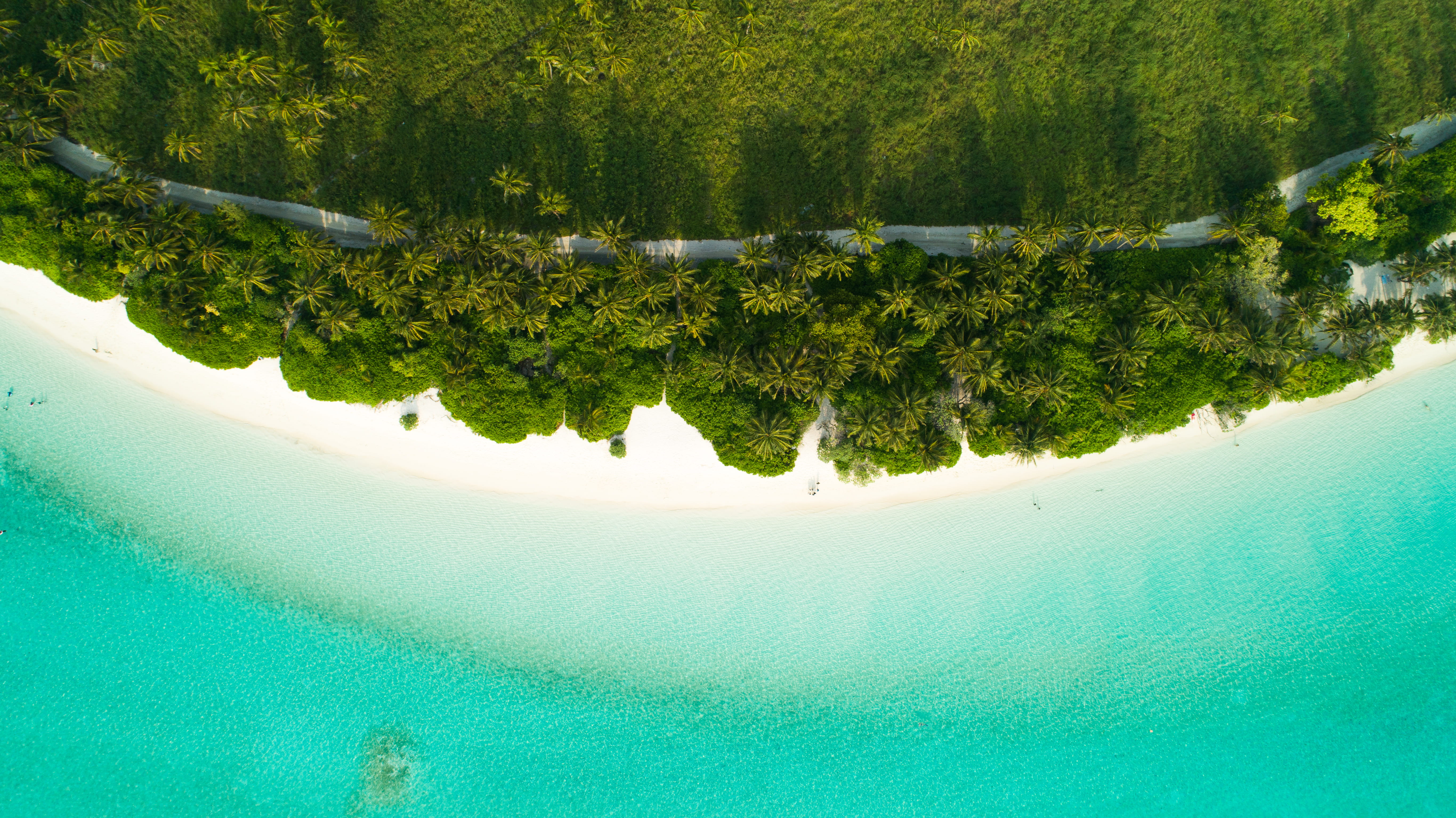 sea, day, land, aerial, no people, island, high angle view, tree, waterfront, scenery, tranquility, turquoise colored, near, 5K, idyllic, green color, HD Wallpaper