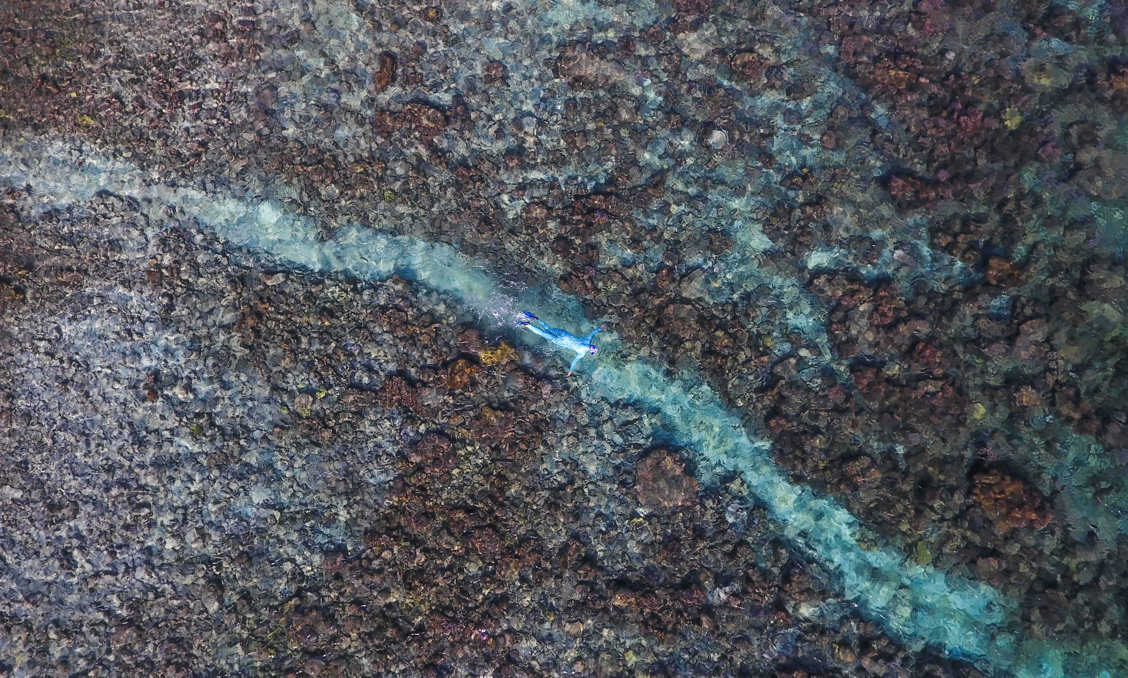 textured, metal, high angle view, outdoors, motion, coral reef, snorkelling, rock, aerial photo, house reef, our planet, fear, diver, underwater, coral, HD Wallpaper
