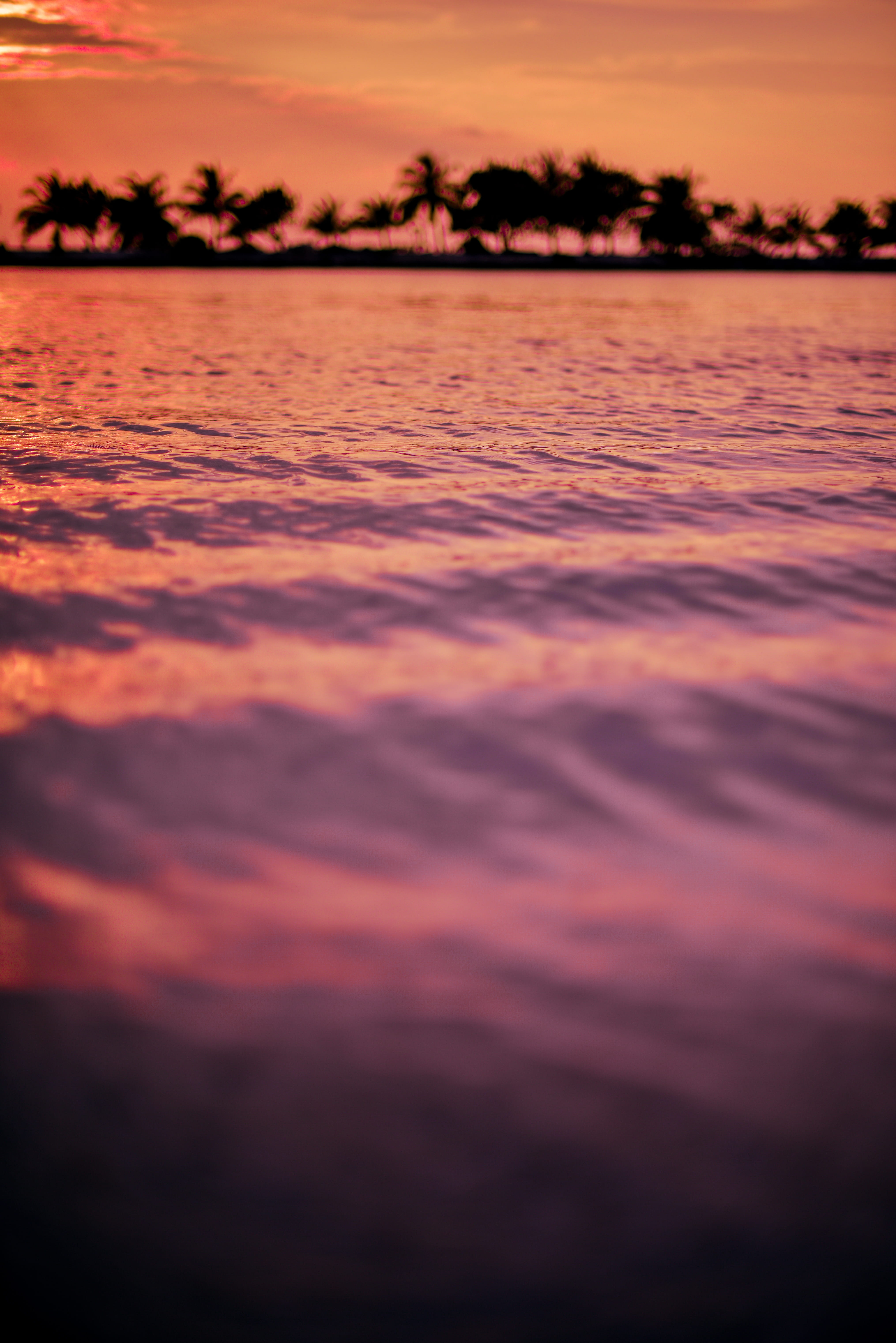 lagoon, sea, #sunset #maldives #dhivehi× #rayyans_gallery #nikon #nikonphotography #d810 #photography #portrait #lens #lightroom #hue #expose #love #instago #create #portrait_ig #peoples #moodygrams #girl #beauty #maldives #rajje #kudhin #voscom #portraitsmv #model #models #maldives #photographers #maldives #maldivian #rayyumaldives #rayyuphotographer× #sand #× #sunset #best #beach, Phone HD Wallpaper