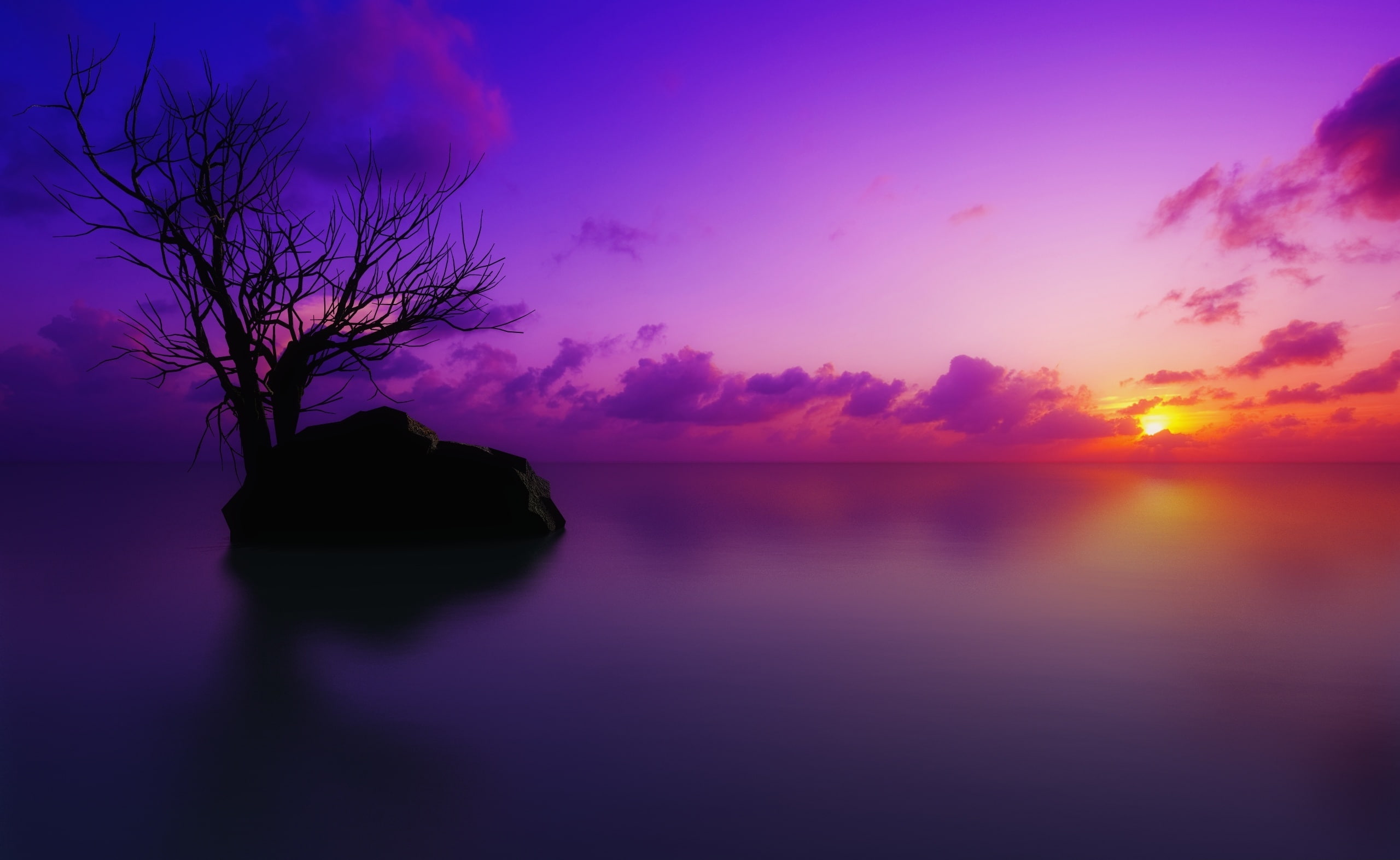 tree, maldivian, sky, maldivian sunset, Sun and Sky, tranquility, romantic sky, purple, water, lake, cloud - sky, tranquil scene, beauty in nature, HD Wallpaper