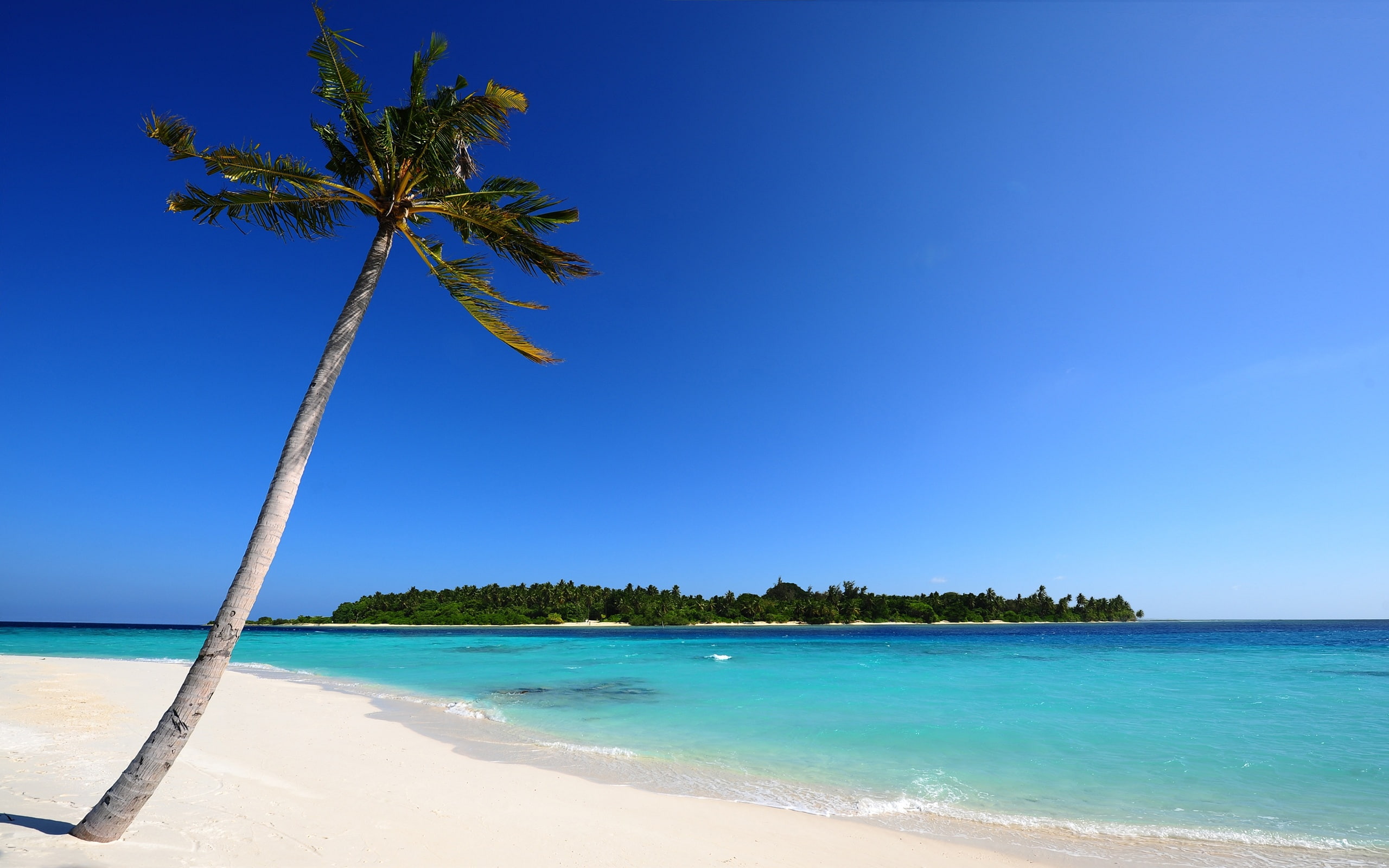 2K, maldivian, beach, HD Wallpaper