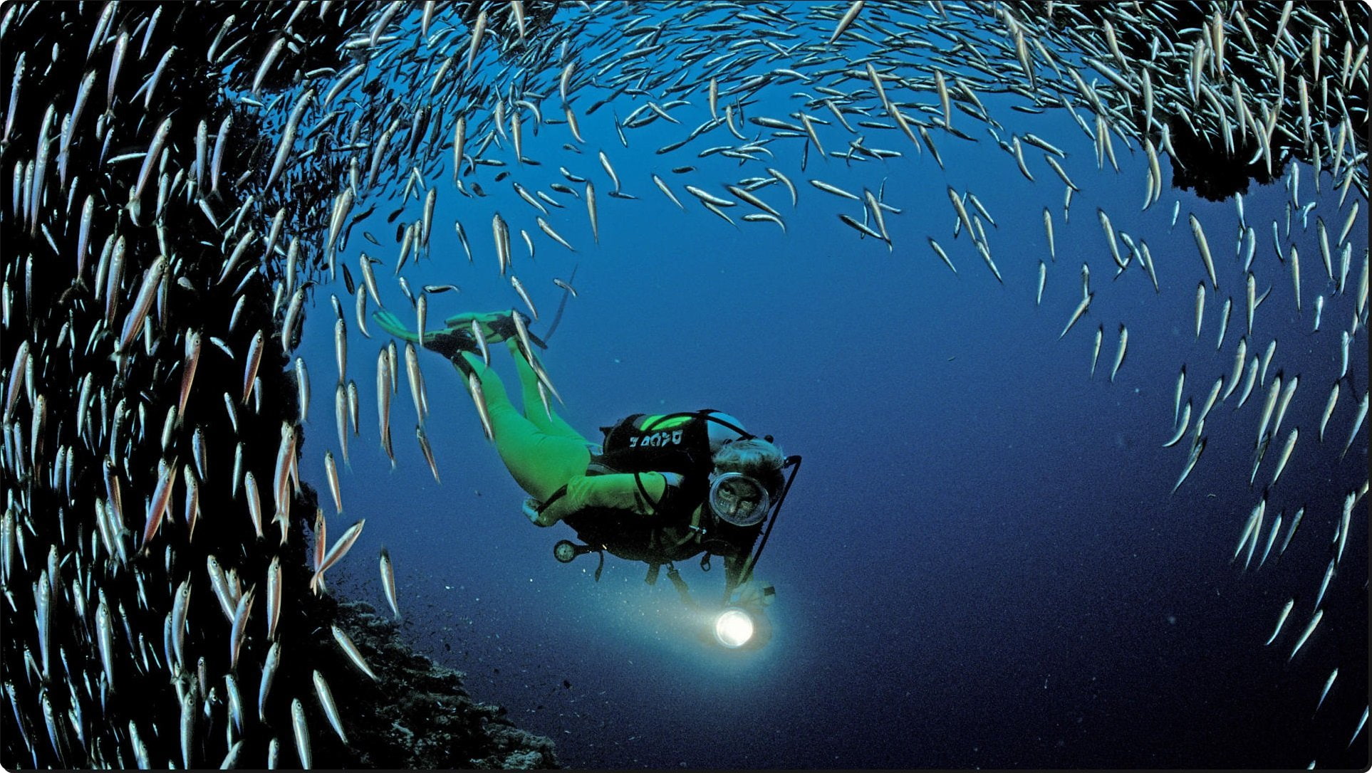 atoll, scuba, diving, near, ari, indian, 1080P, HD Wallpaper