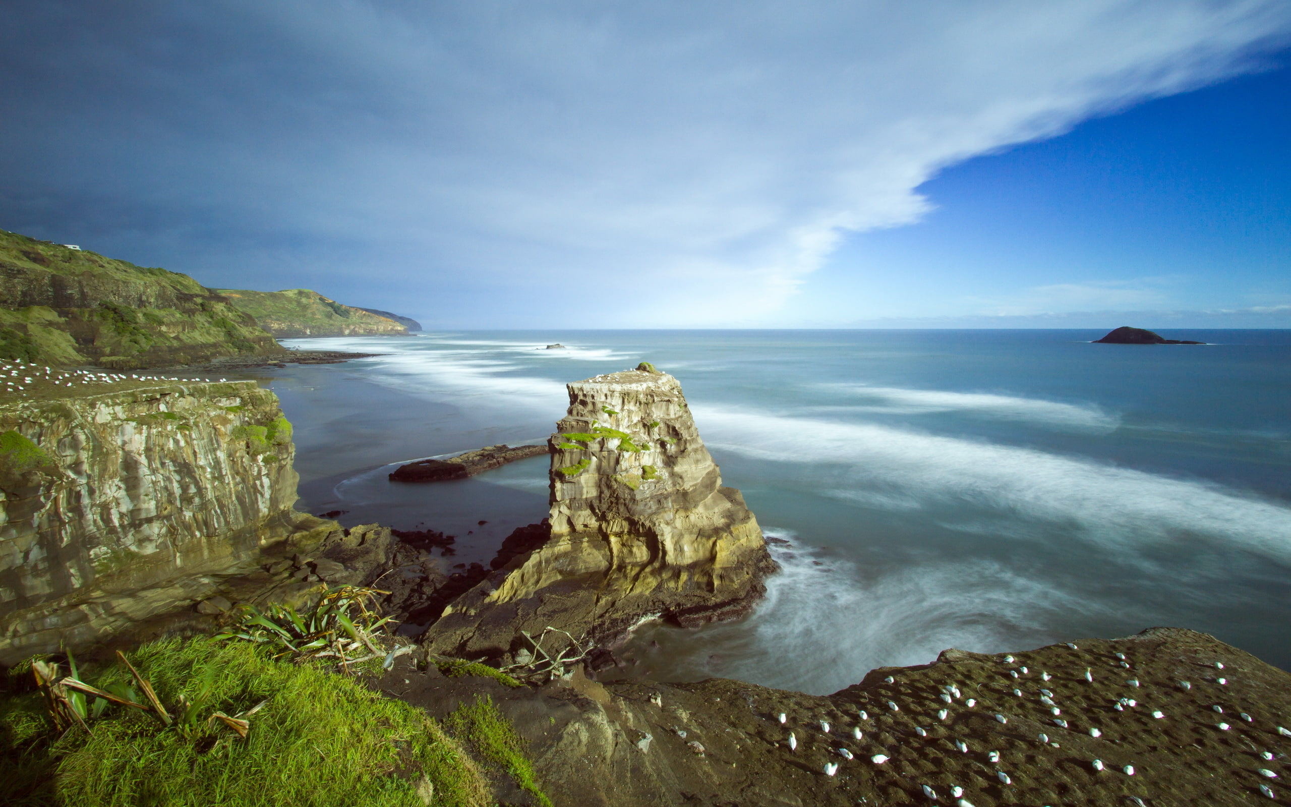 Australasian gannet colony, New Zealand, Auckland, Muriwai Beach, 2K, HD Wallpaper