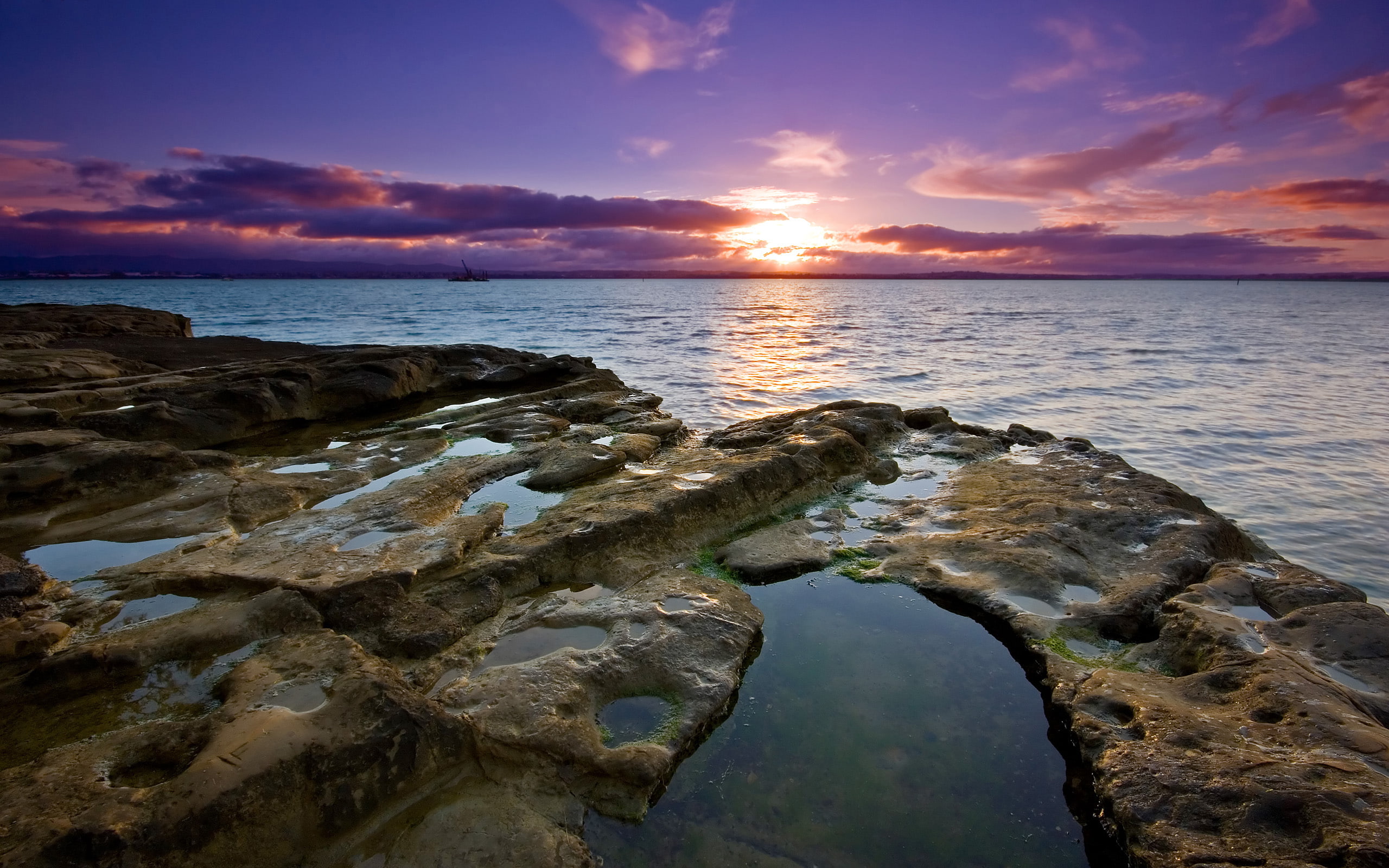 sunset, photo, auckland, beside, brown, formation, 2K, rock, auckl, seashore, HD Wallpaper