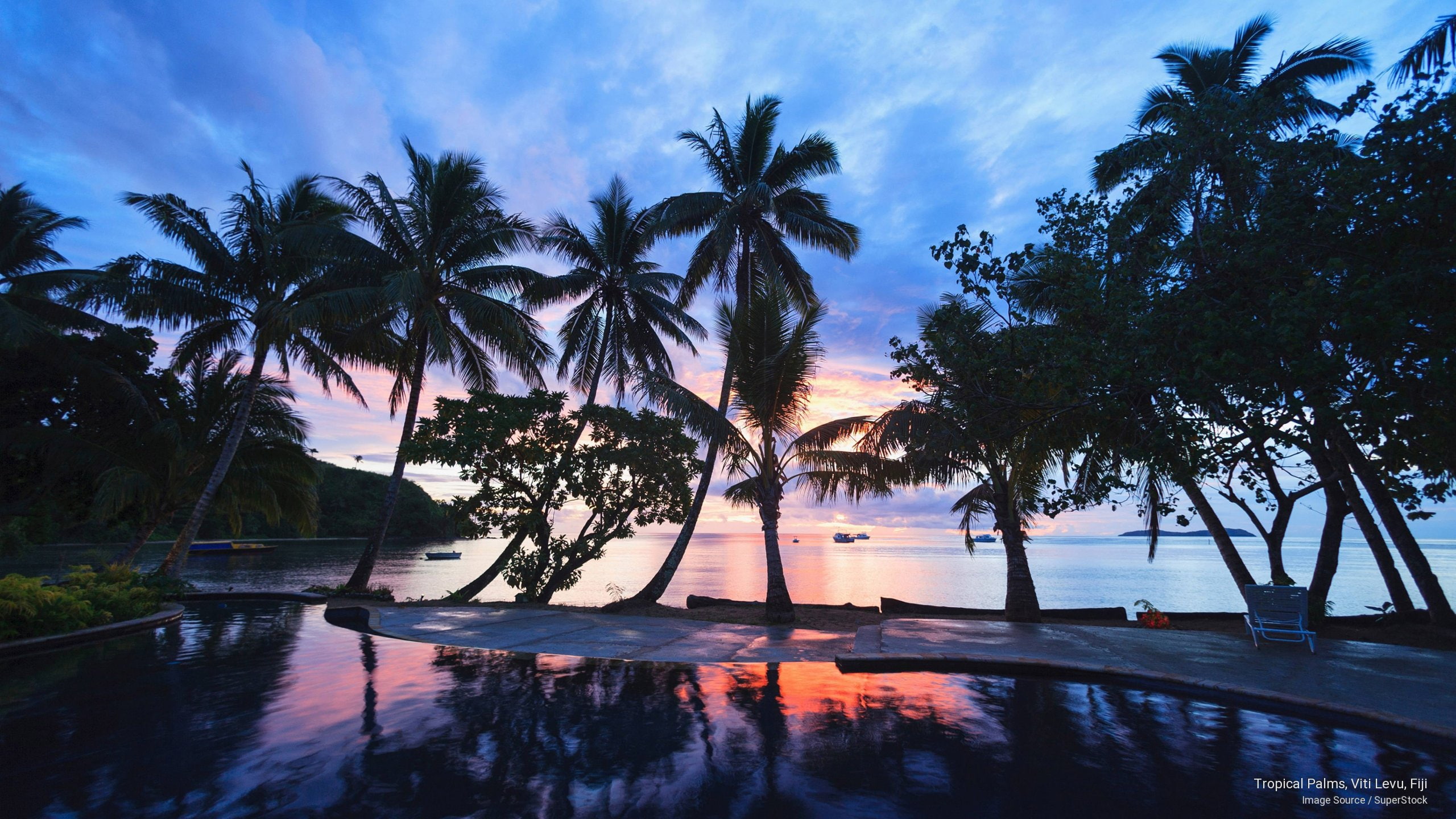 Islands, viti, palms, levu, tropical, fiji, 2K, HD Wallpaper