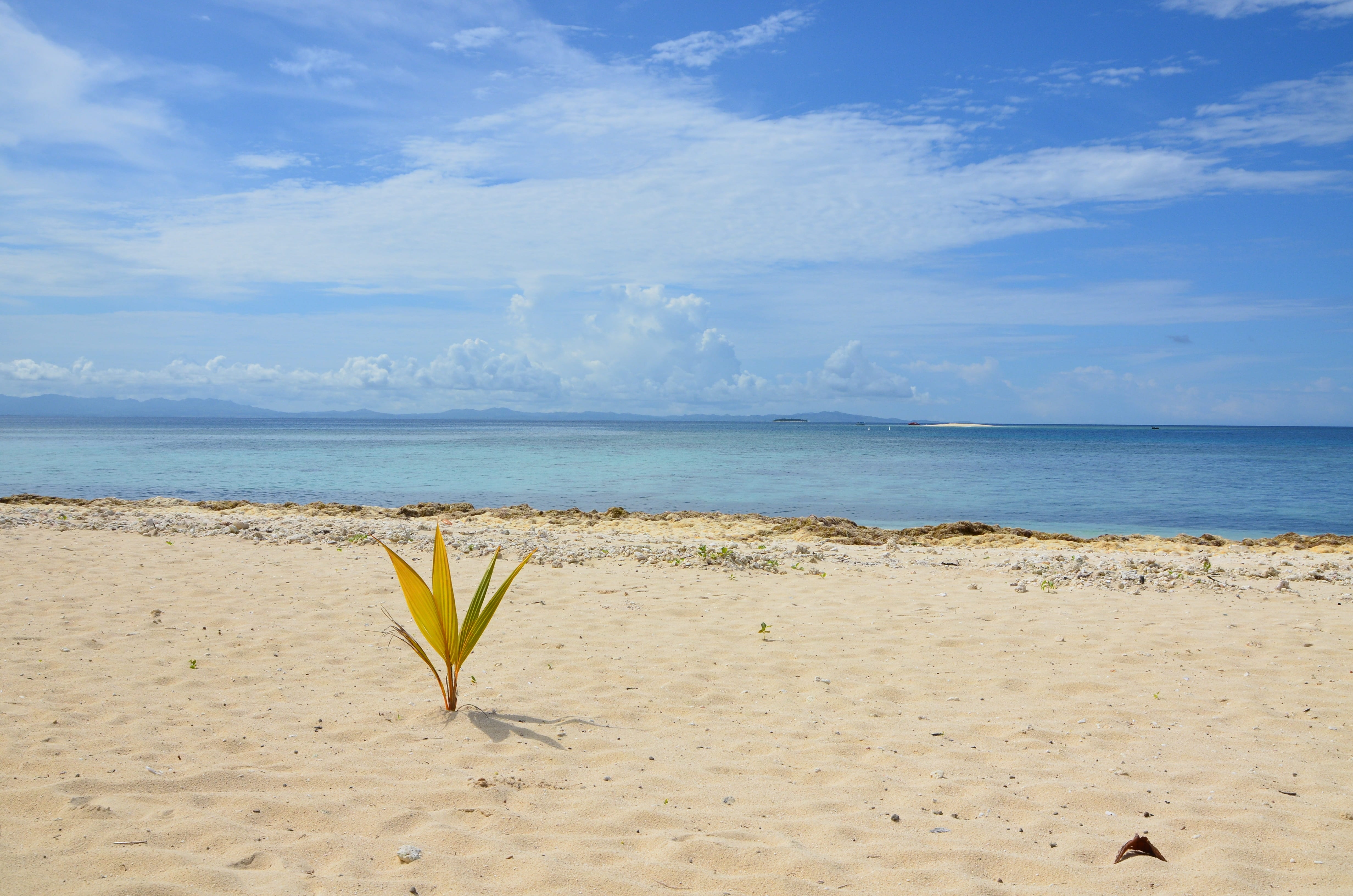 day, sand, idyllic, fiji, no people, plant, horizon, tranquil scene, sky, beauty in nature, sea, yellow, 4K, cloud - sky, green, tranquility, beach, non-urban scene, HD Wallpaper
