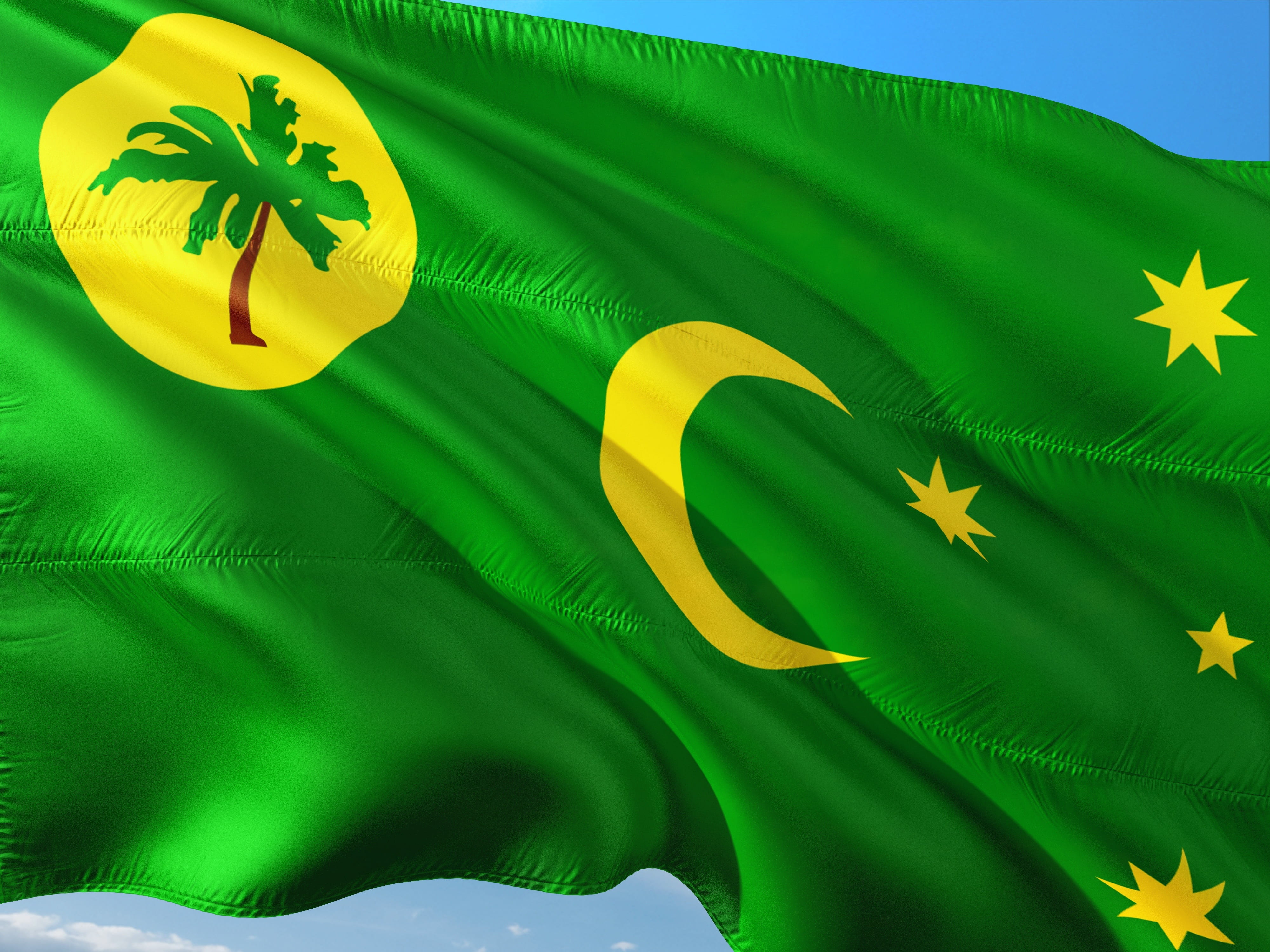 tropical climate, cocos islands, nature, palm leaf, plant part, pattern, celebration, flag, outdoors, leaf, growth, no people, yellow, creativity, green color, HD Wallpaper