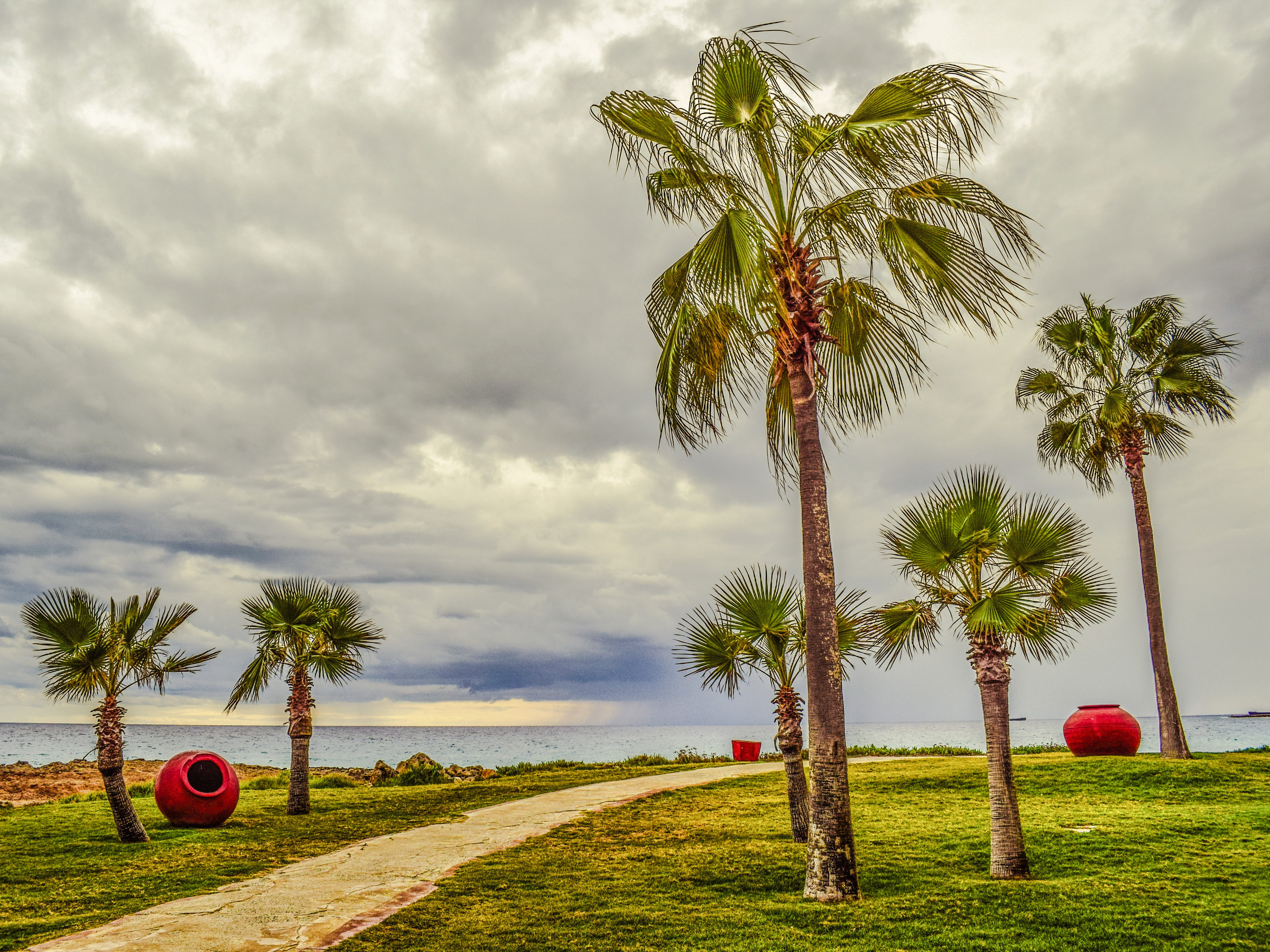 containers, tree, tradition, clouds, grass, tropical climate, mediterranean, red, tree trunk, beauty in nature, autumn, palm tree, tropical tree, cyprus, HD Wallpaper